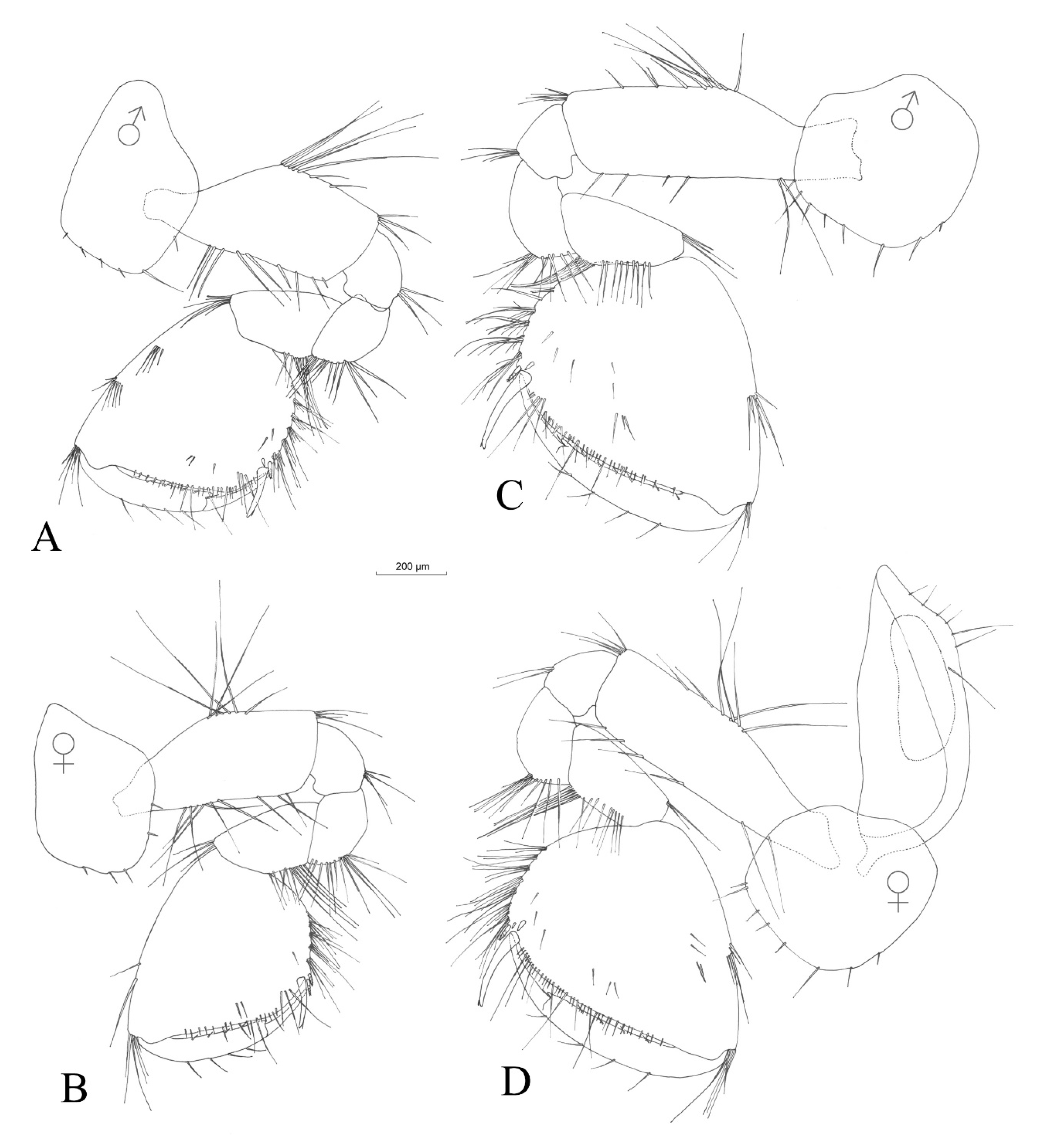 Hydrobiology 02 00037 g008 Hydrobiology 02 00037 g008