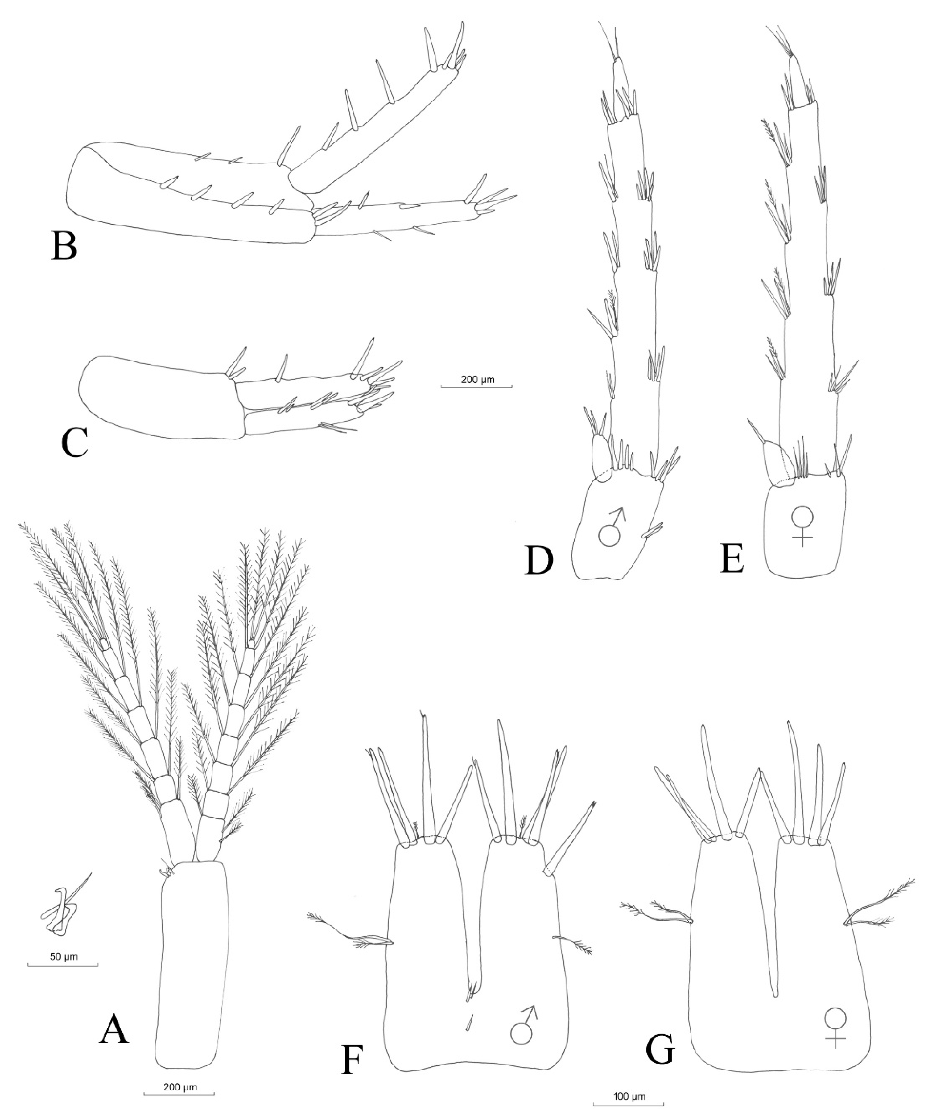 Hydrobiology 02 00037 g011 Hydrobiology 02 00037 g011
