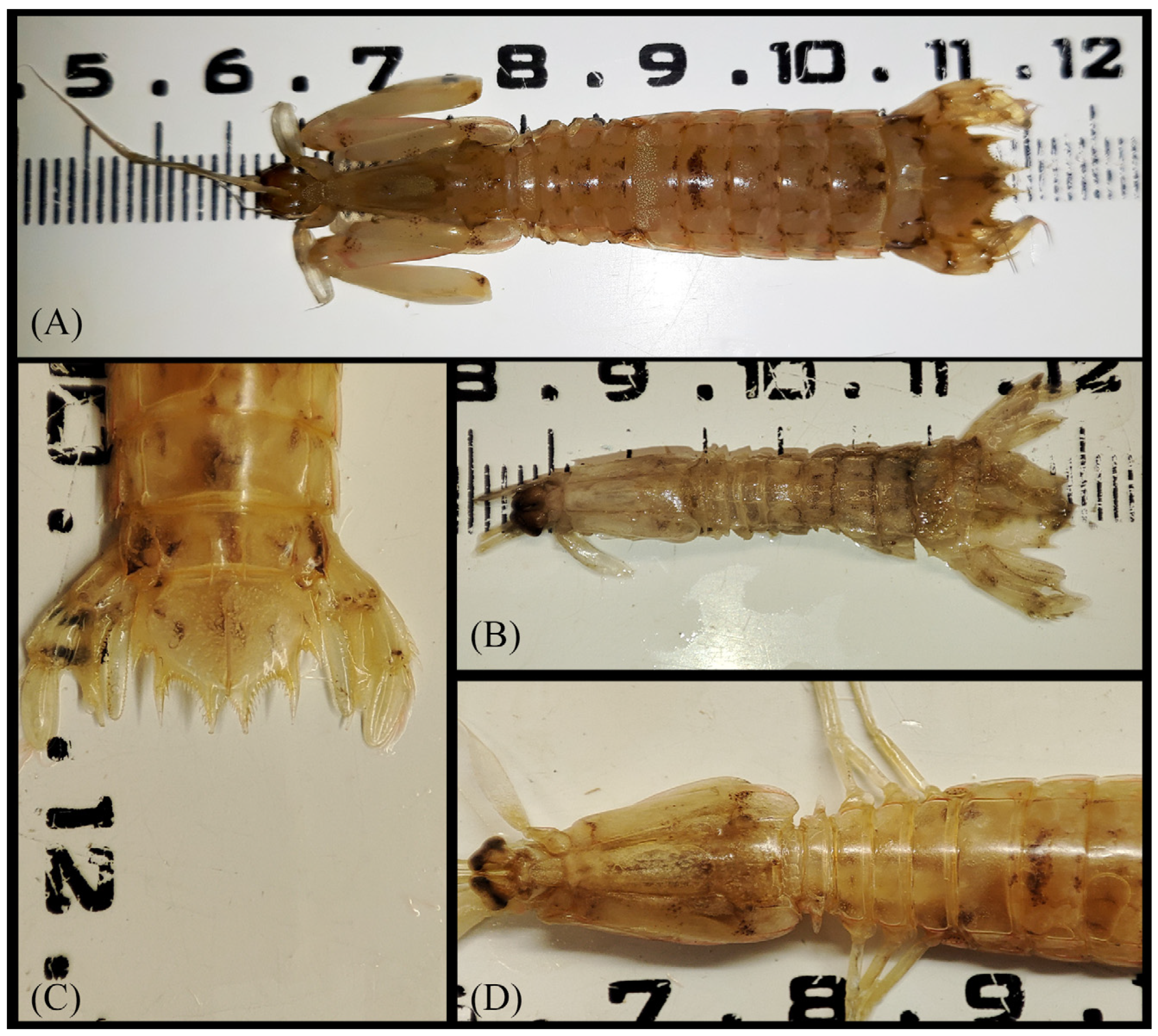 Hydrobiology 02 00038 g002 Hydrobiology 02 00038 g002