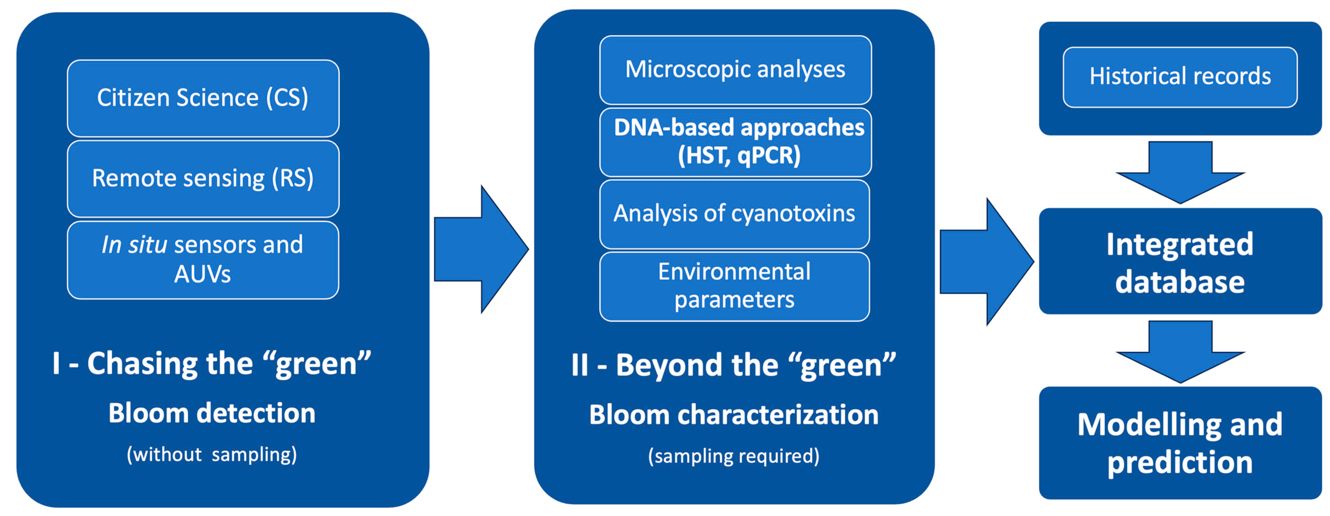 Hydrobiology 03 00002 g002 Hydrobiology 03 00002 g002