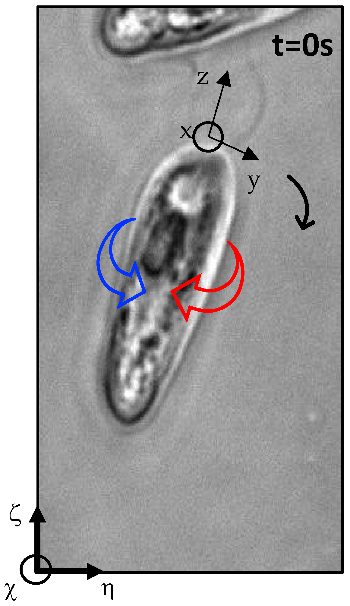 Hydrobiology 03 00012 g001