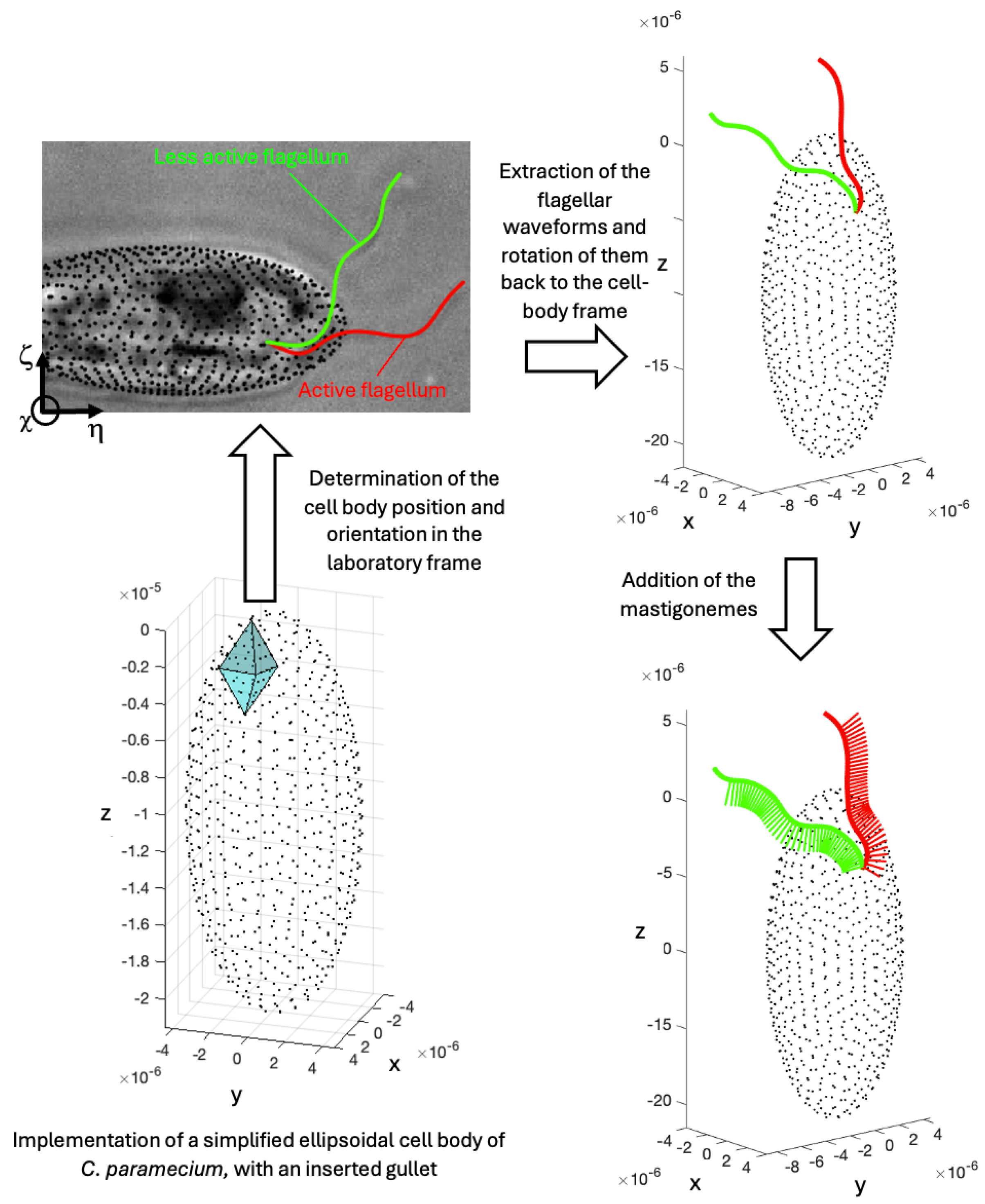 Hydrobiology 03 00012 g002