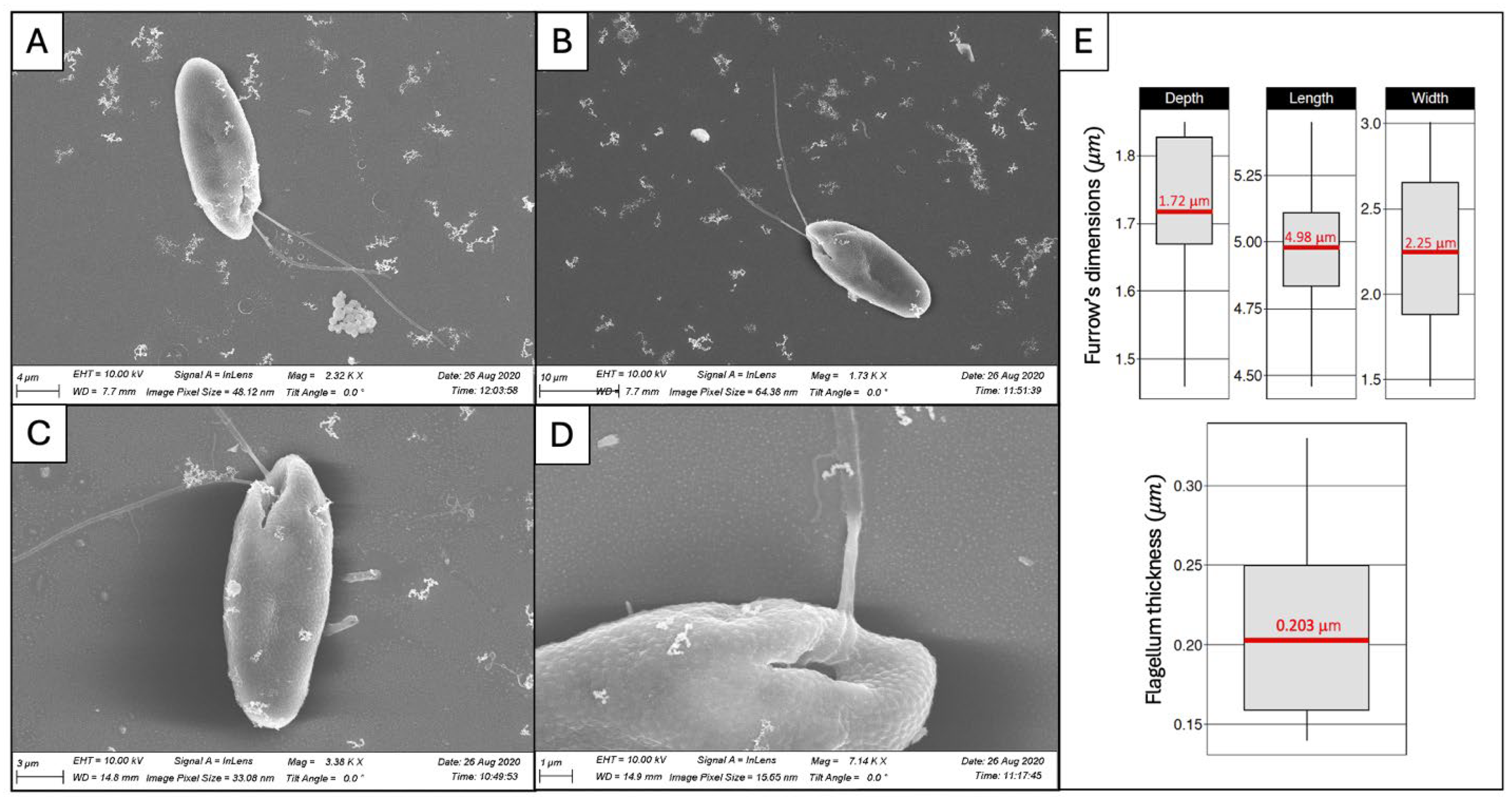 Hydrobiology 03 00012 g003