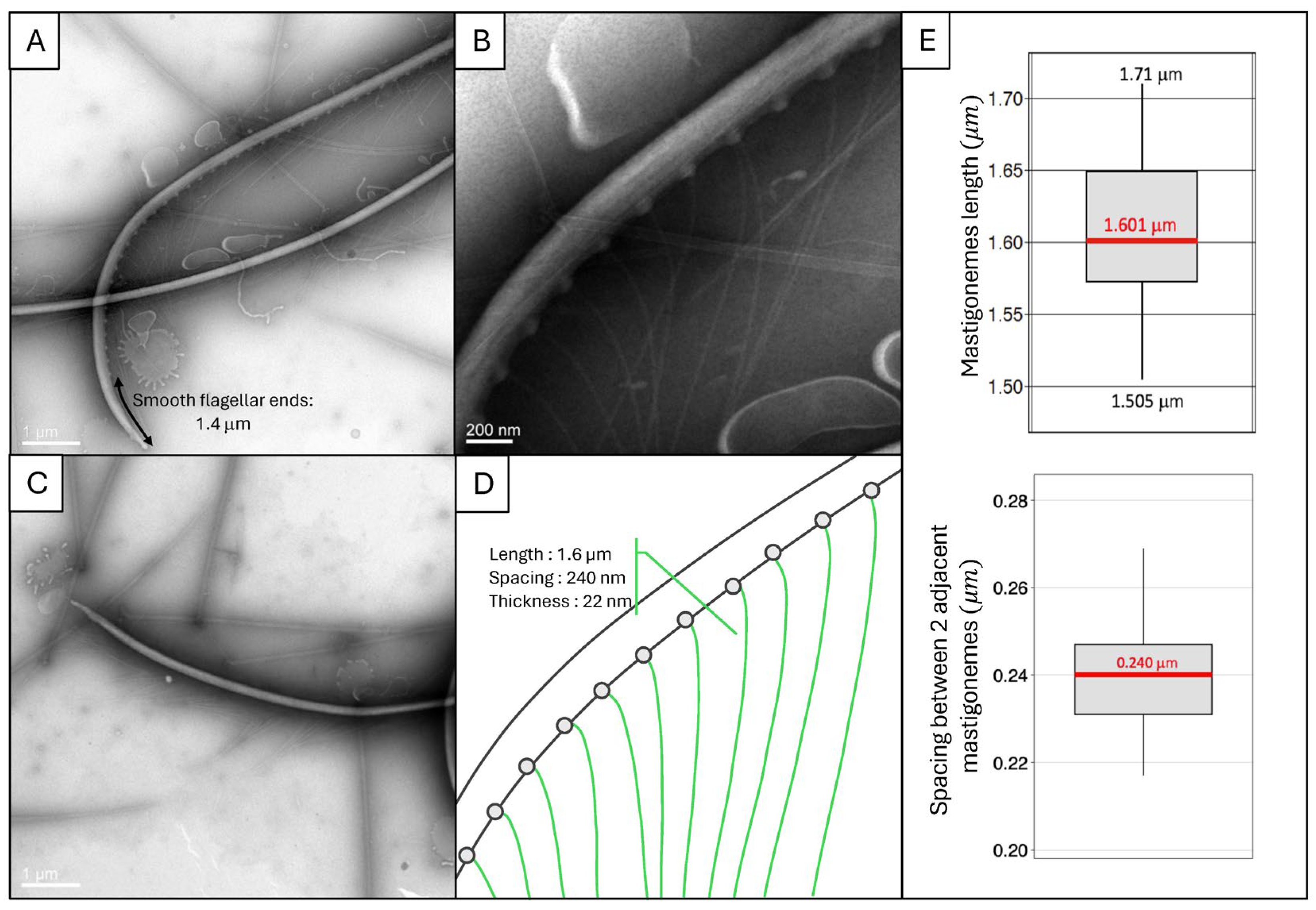 Hydrobiology 03 00012 g004