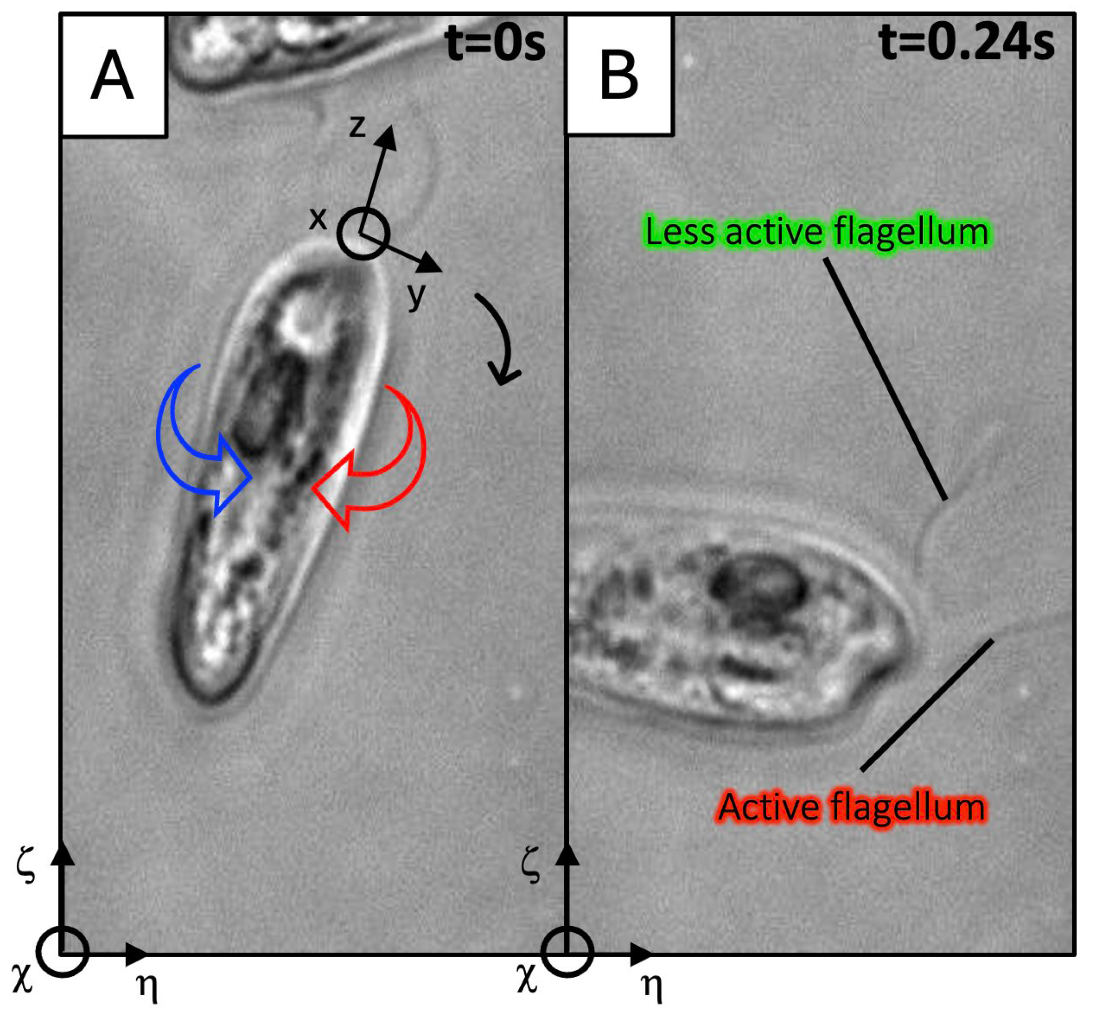Hydrobiology 03 00012 g007