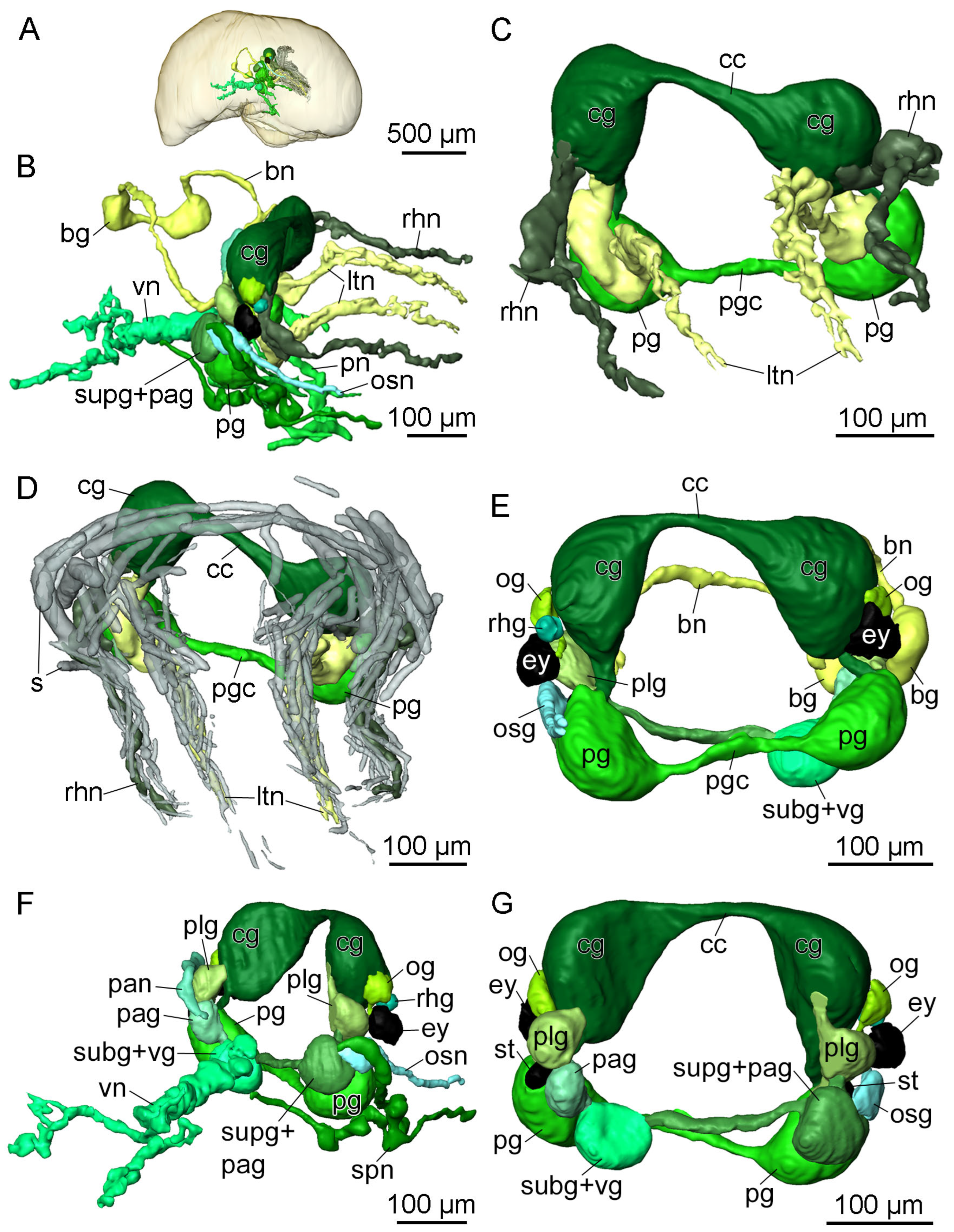 Hydrobiology 03 00018 g004