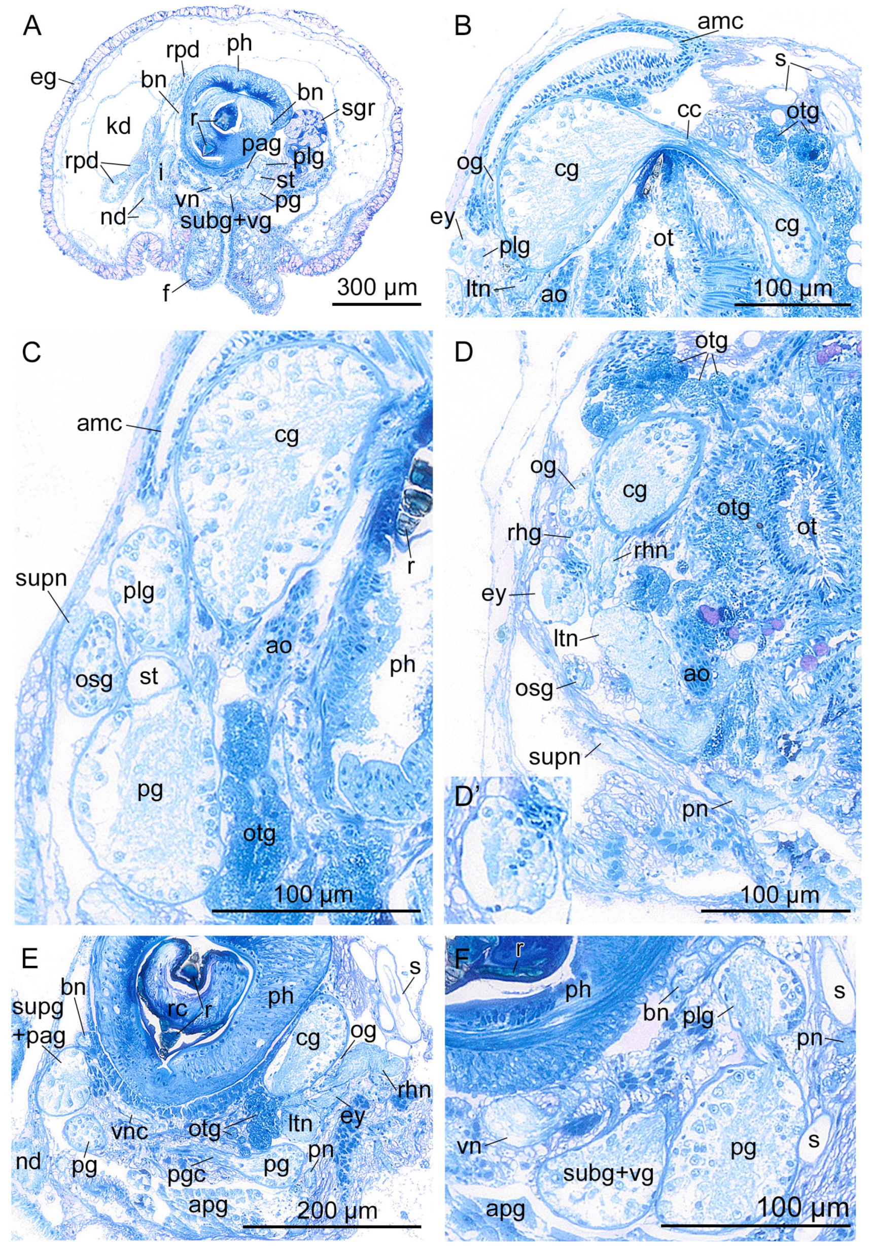 Hydrobiology 03 00018 g005