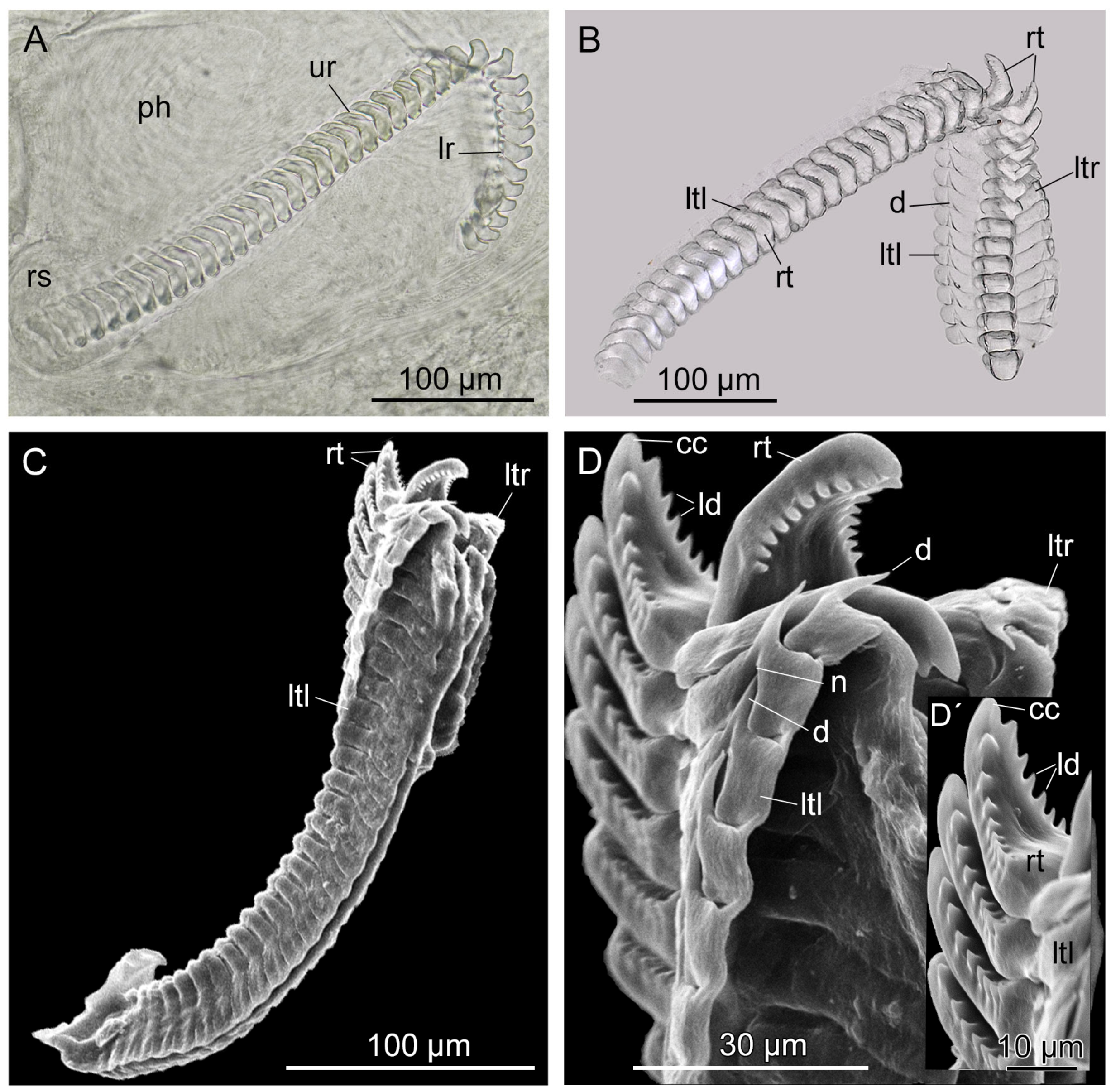 Hydrobiology 03 00018 g008