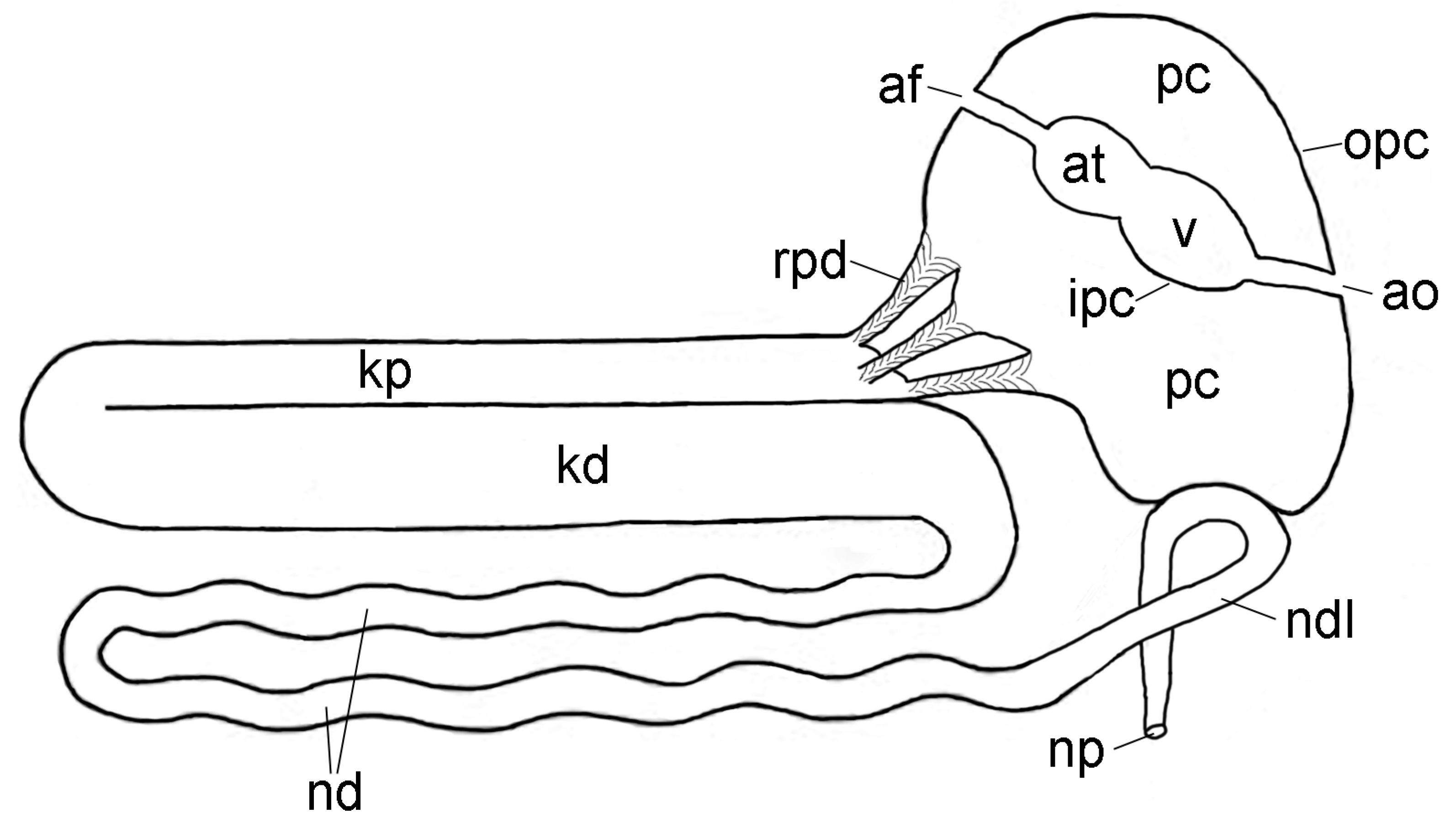 Hydrobiology 03 00018 g009