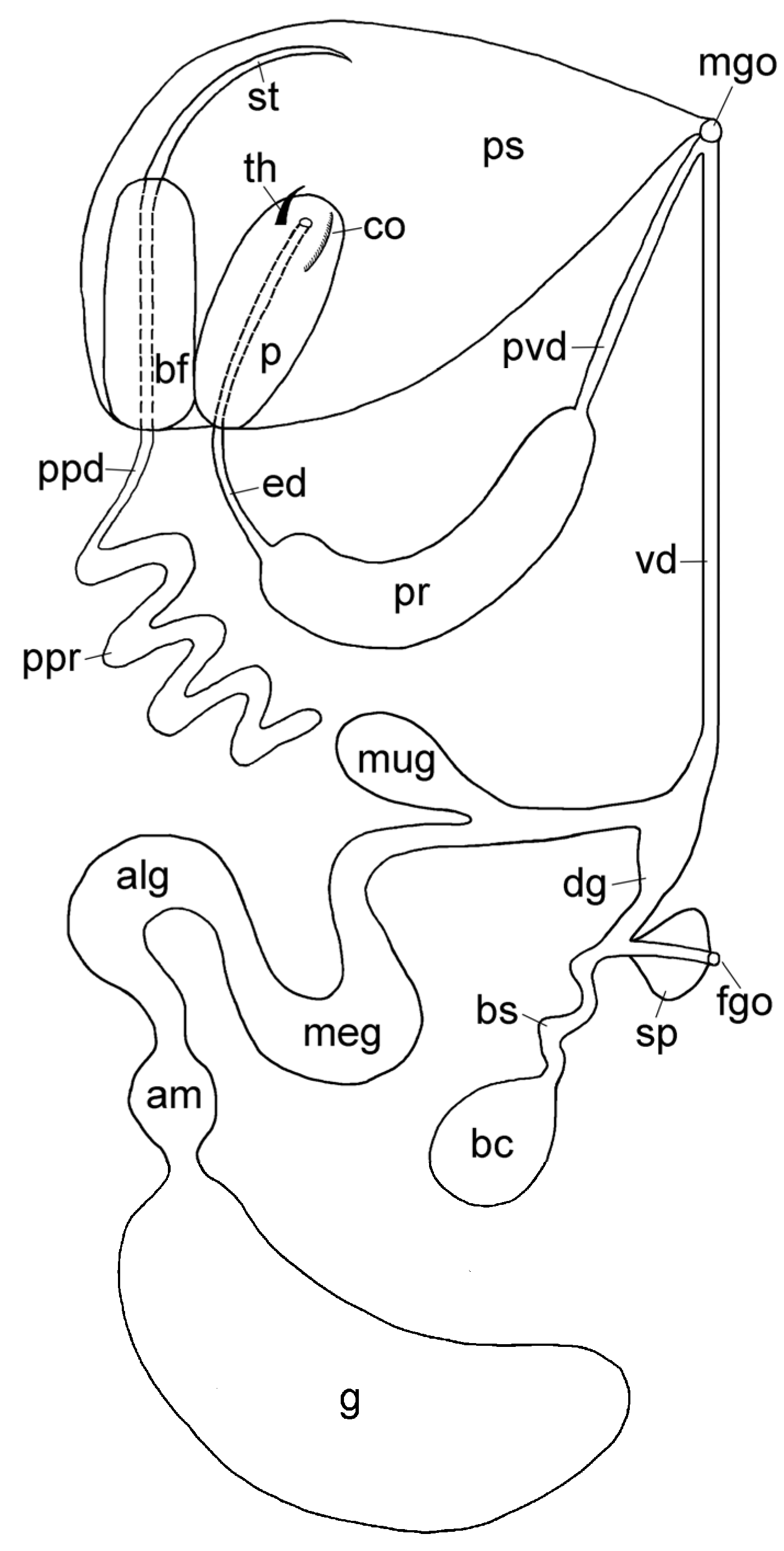 Hydrobiology 03 00018 g011