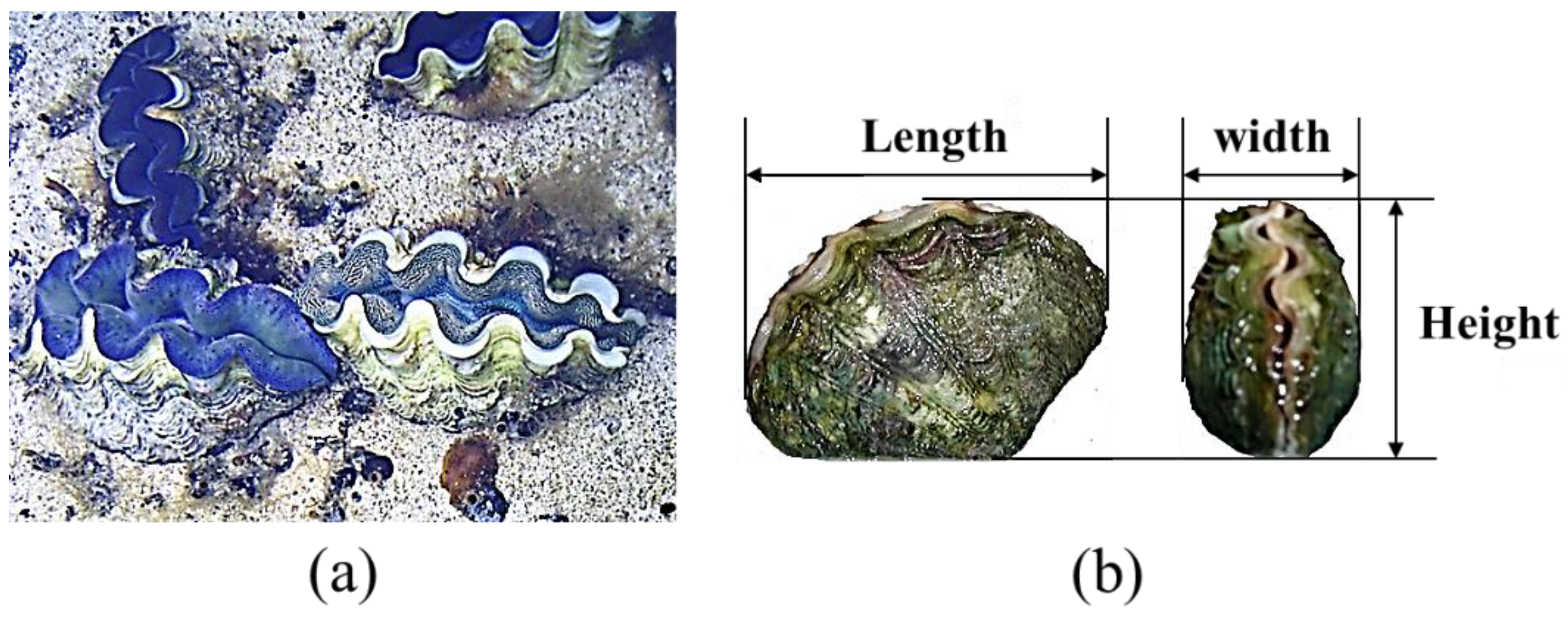 Hydrobiology 03 00022 g001