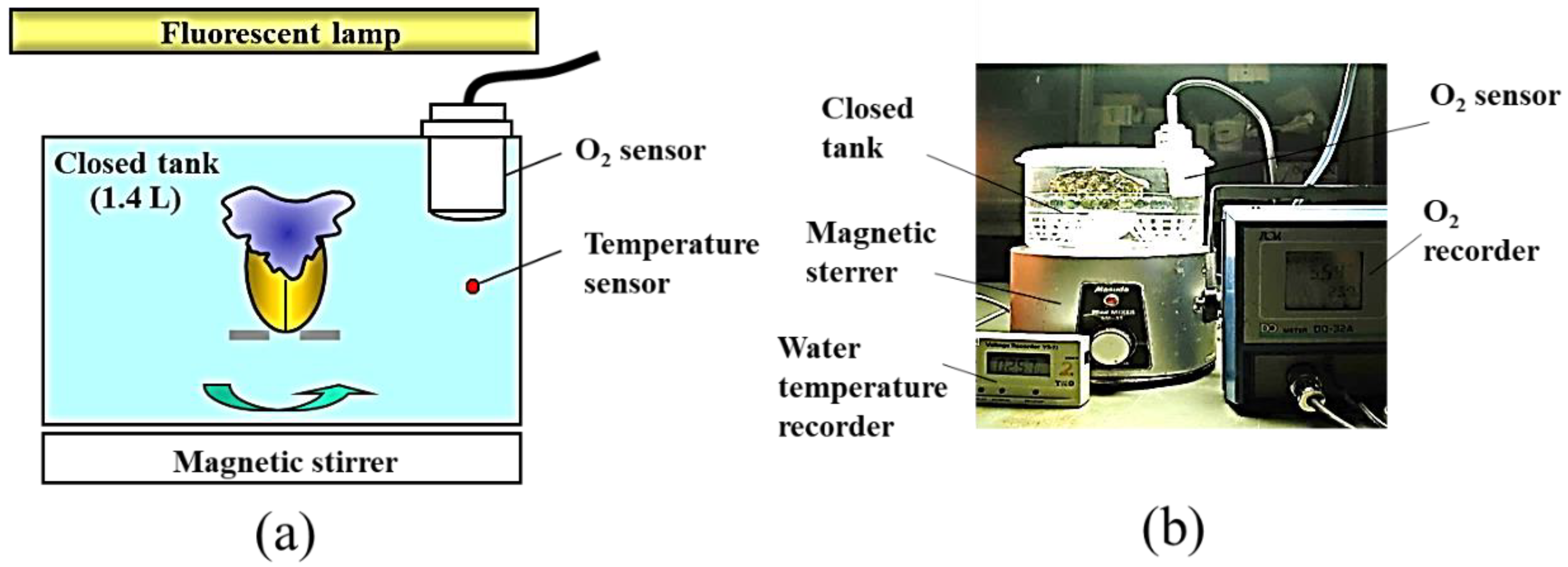 Hydrobiology 03 00022 g002