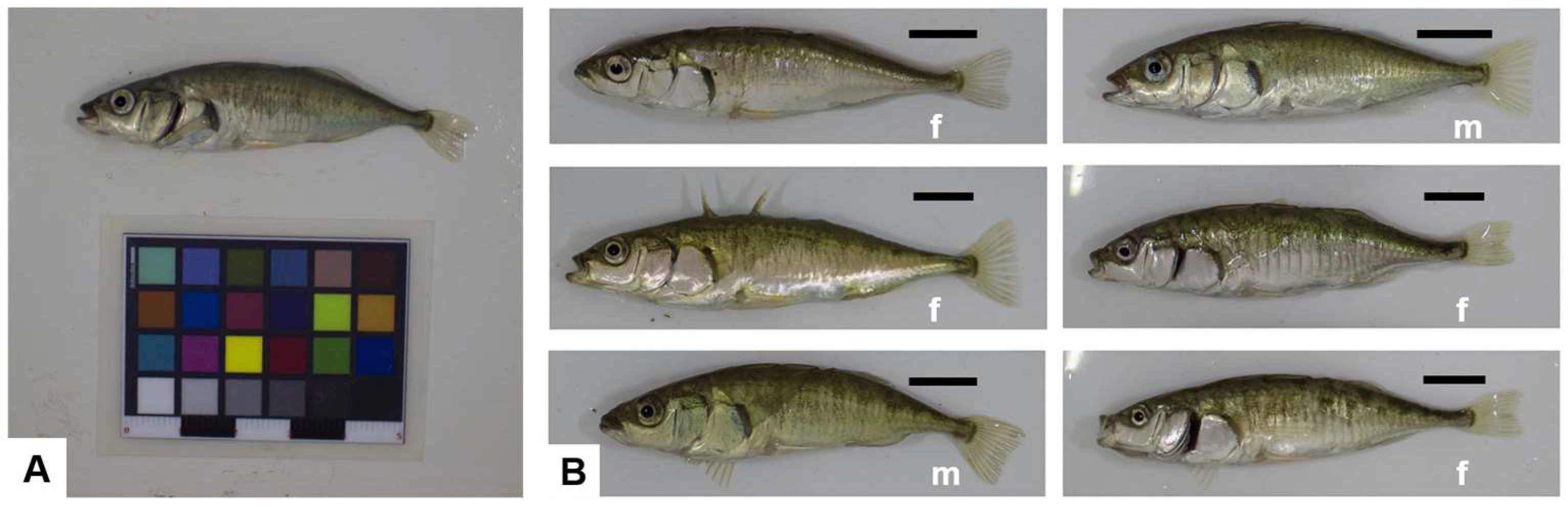 Hydrobiology 04 00020 g001