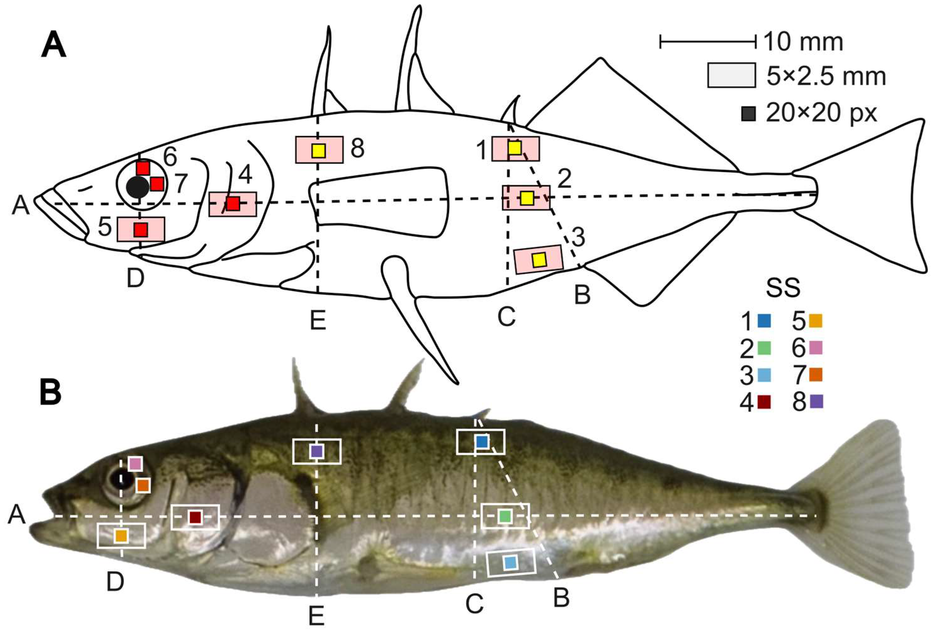 Hydrobiology 04 00020 g002