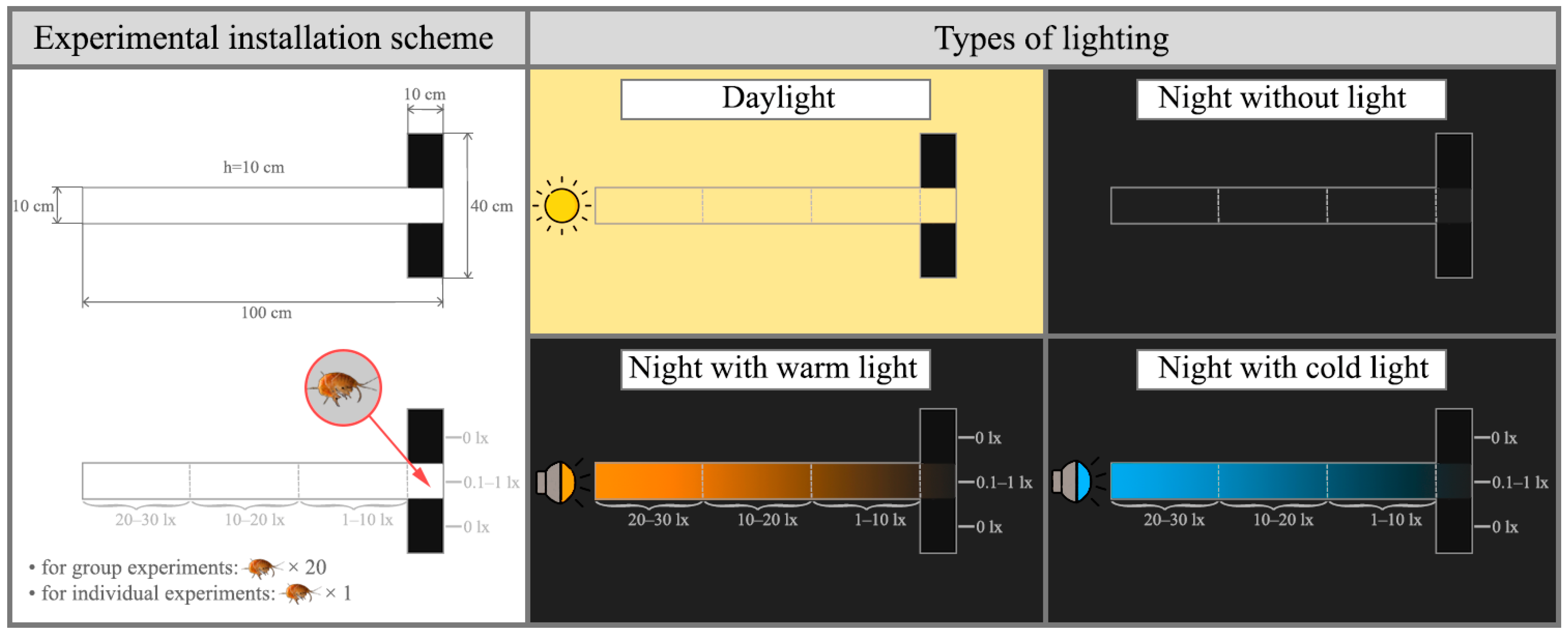 Hydrobiology 04 00023 g002 Hydrobiology 04 00023 g002