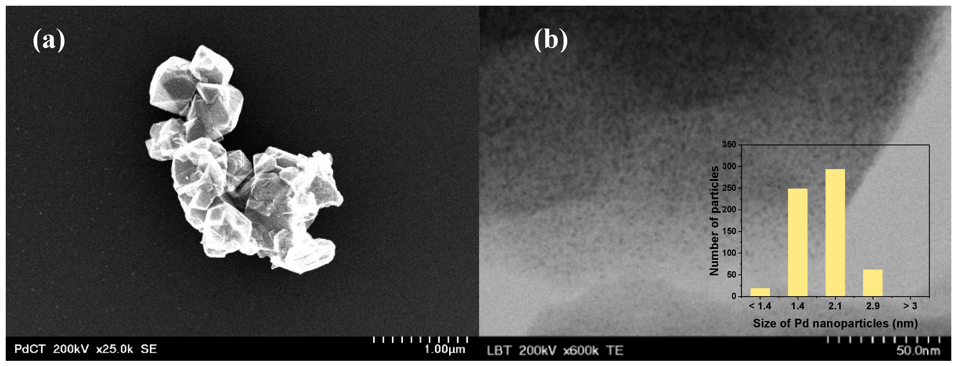 Hydrogen 01 00003 g001 Hydrogen 01 00003 g001