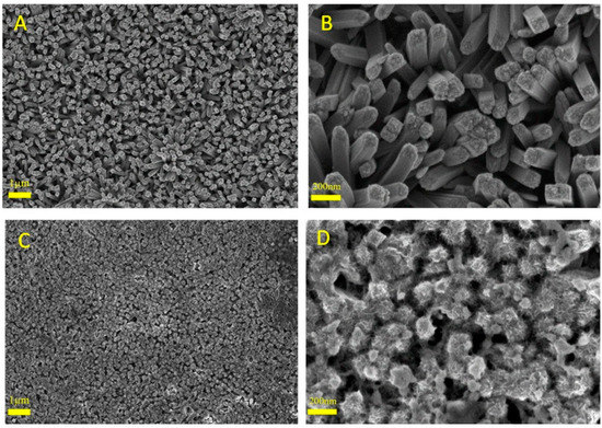 Water Photo-Electrooxidation Using Mats of TiO2 Nanorods