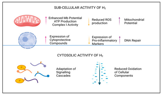 Hydrogen 02 00025 g002 550