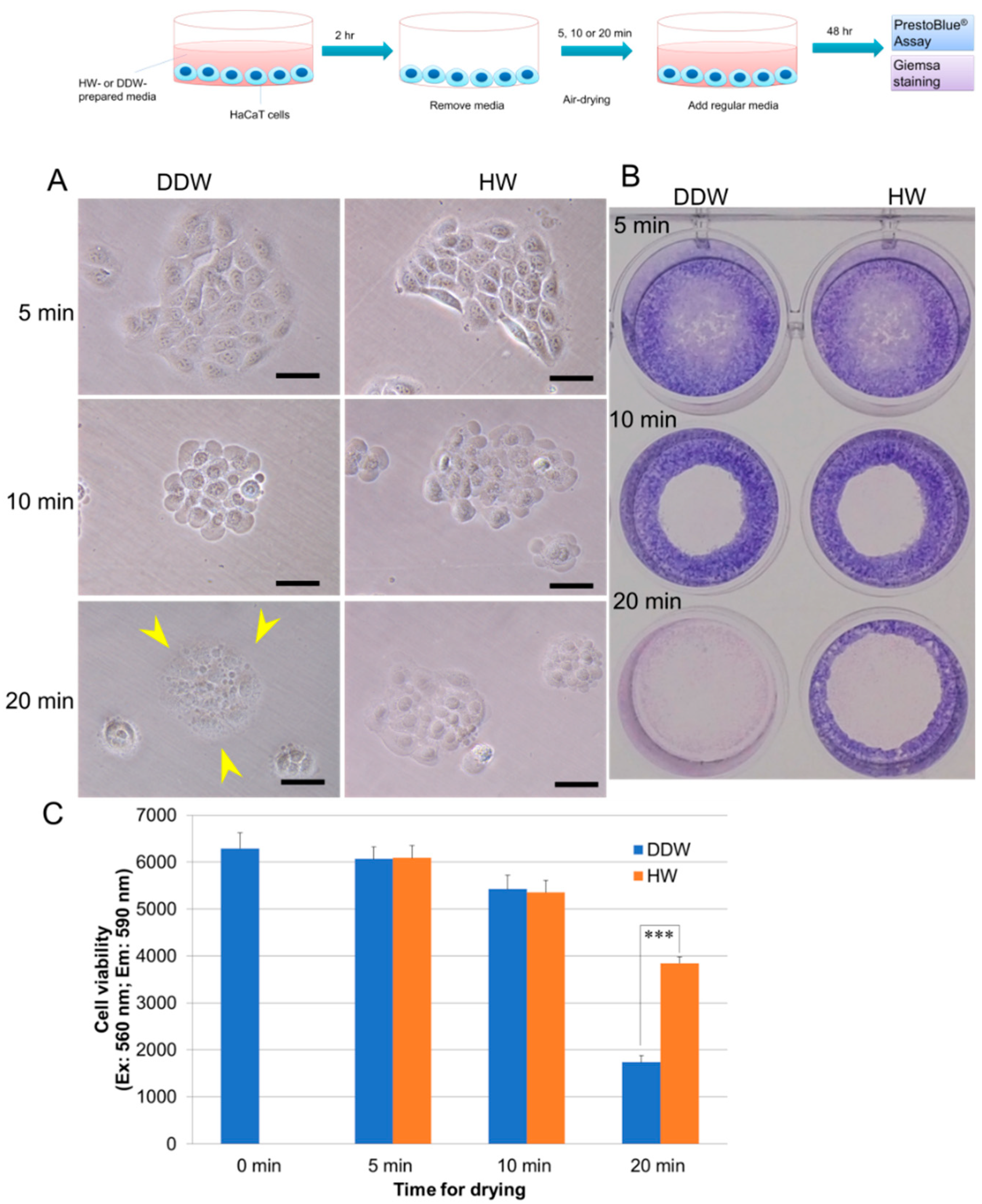 Hydrogen 03 00005 g001 550