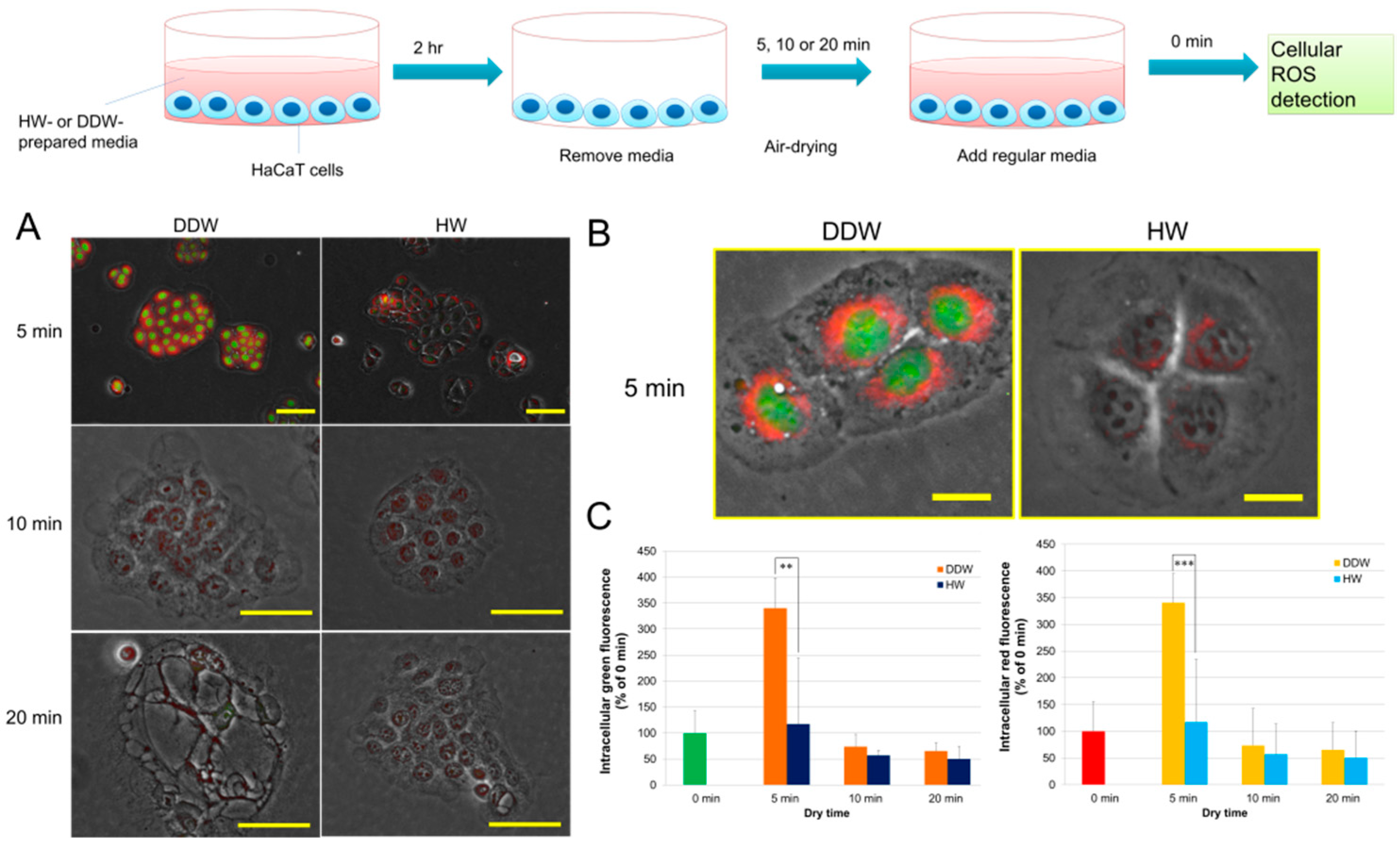 Hydrogen 03 00005 g003 550