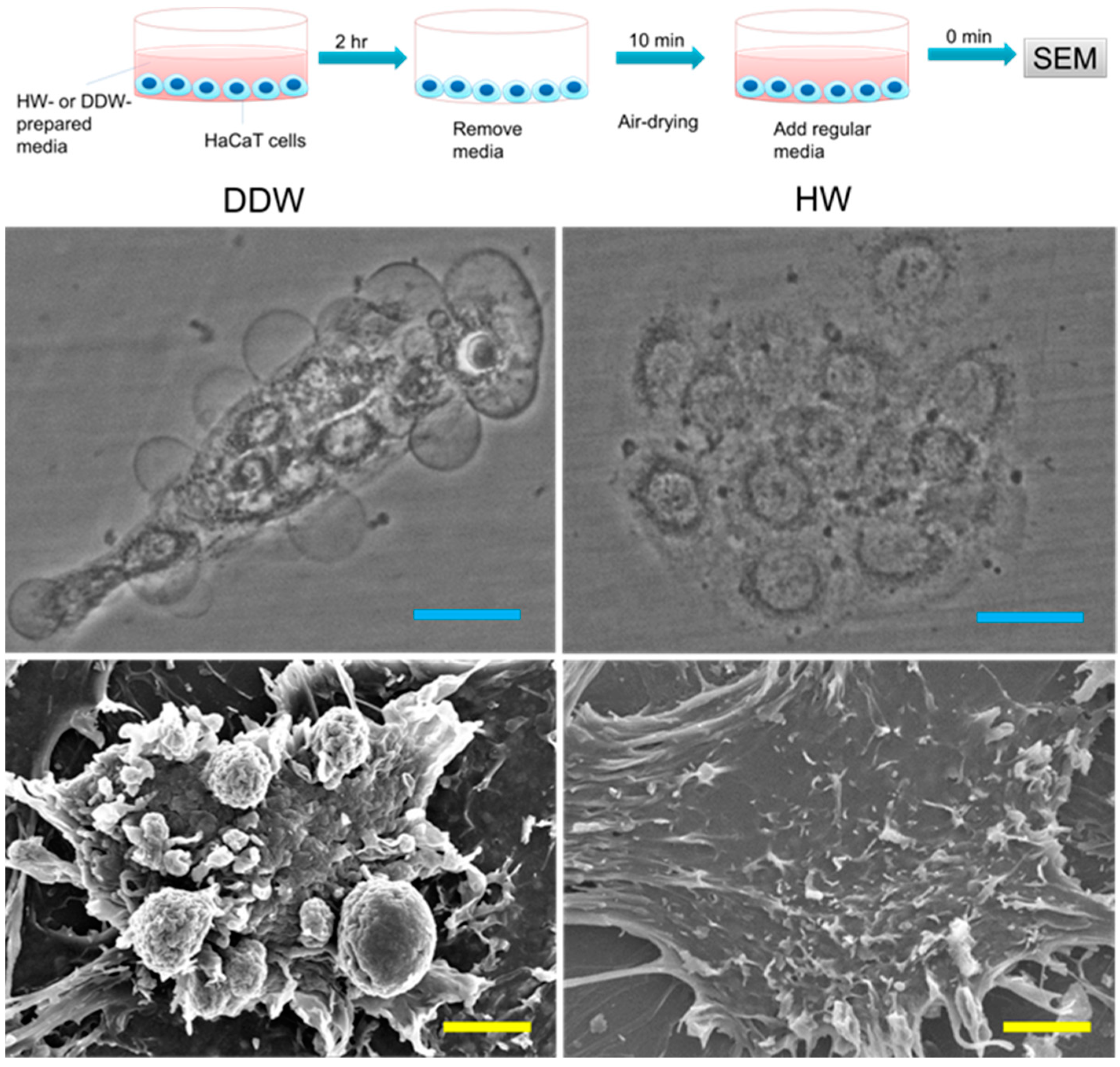 Hydrogen 03 00005 g004 550
