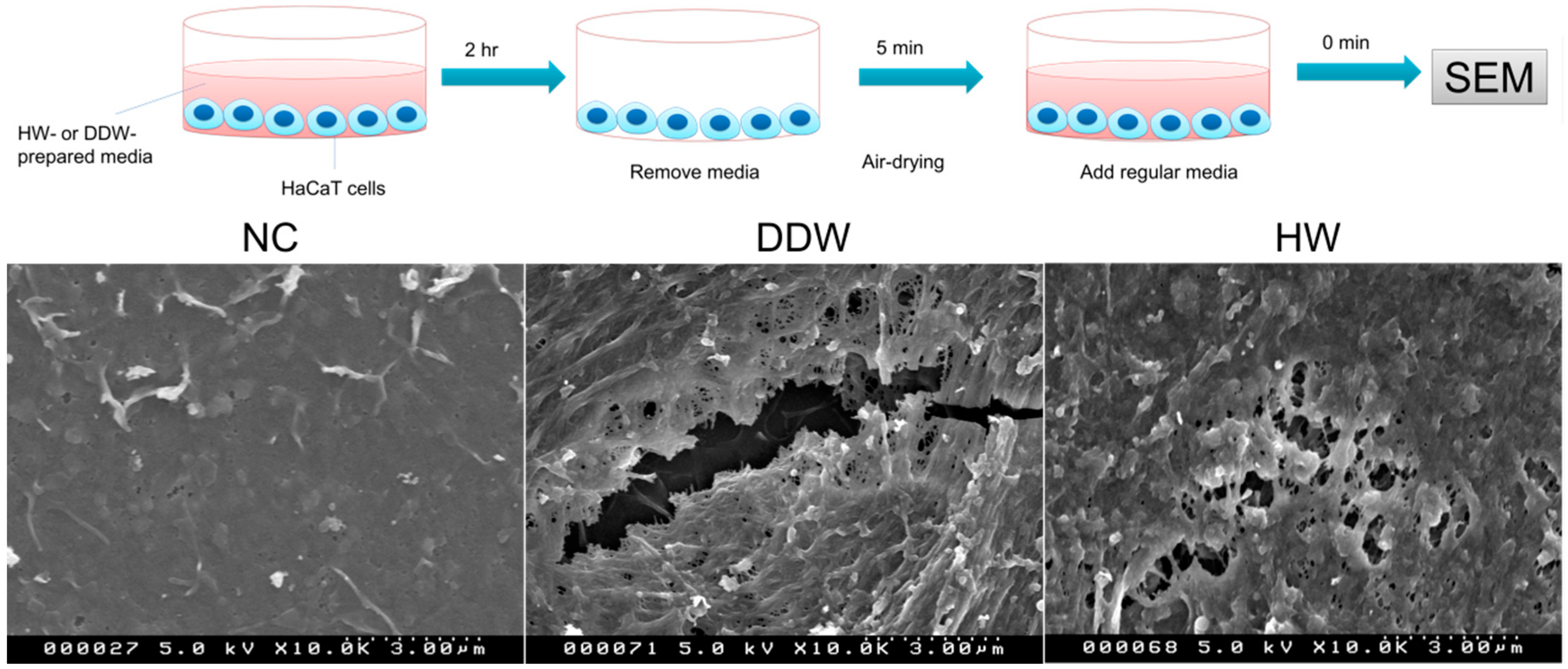 Hydrogen 03 00005 g005 550