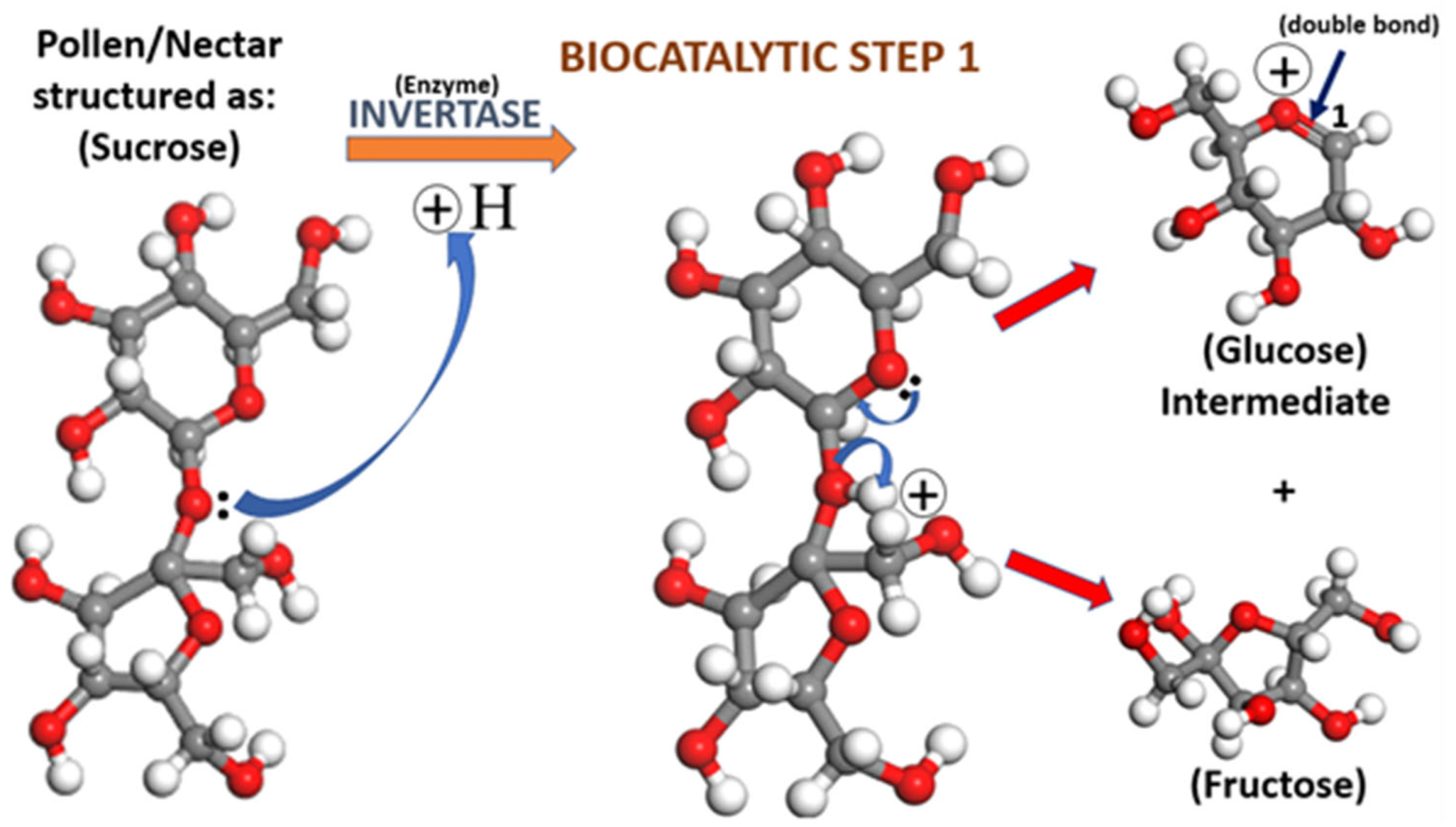 Hydrogen 04 00009 g009