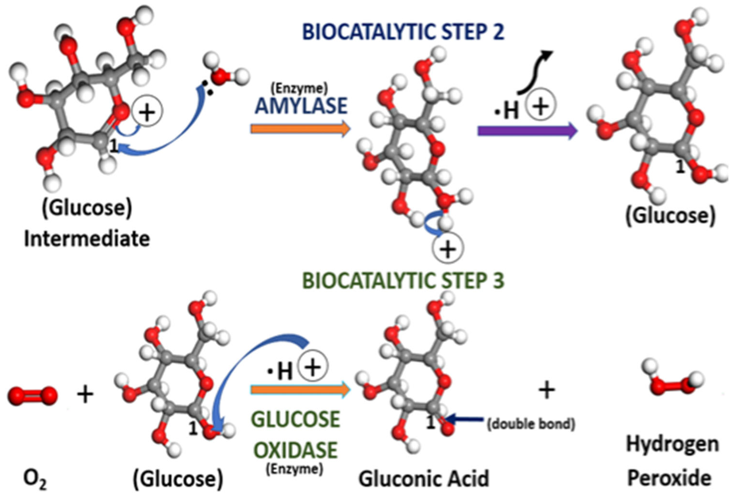 Hydrogen 04 00009 g010