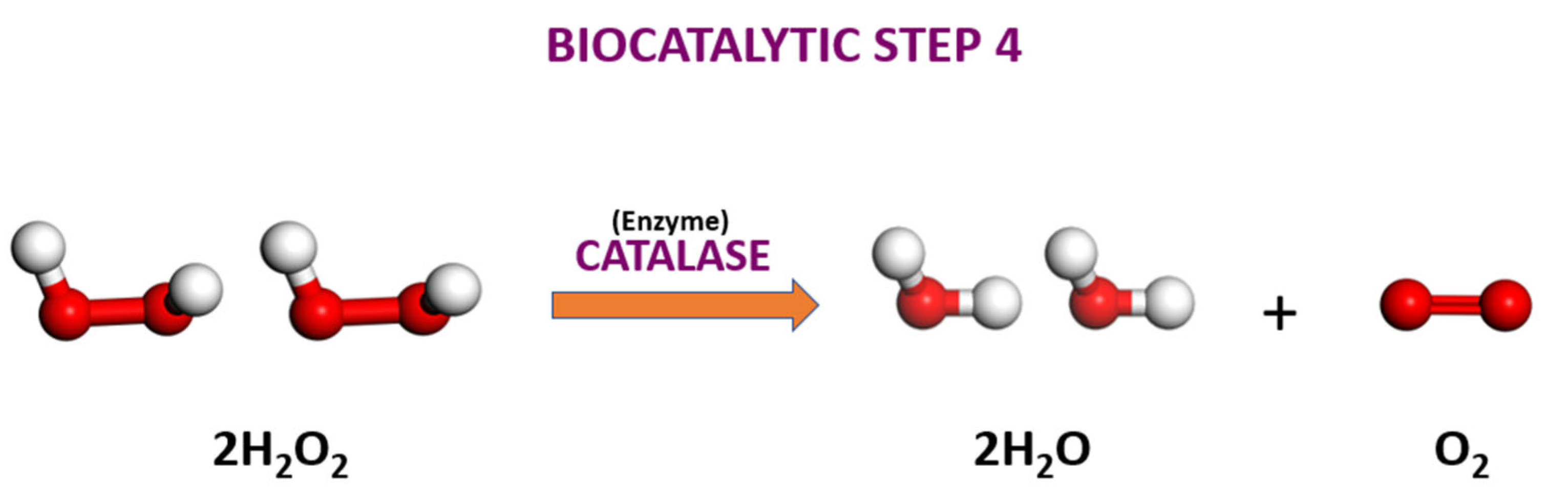 Hydrogen 04 00009 g011