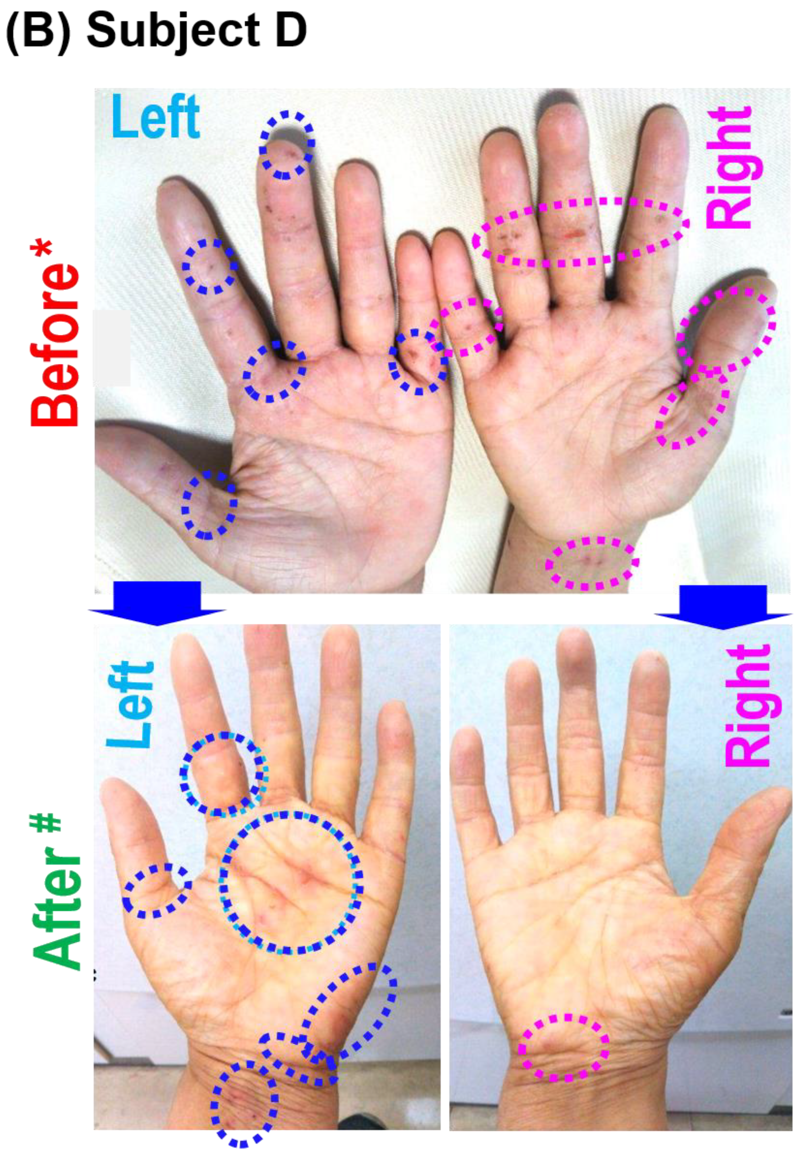 Hydrogen 04 00031 g002b