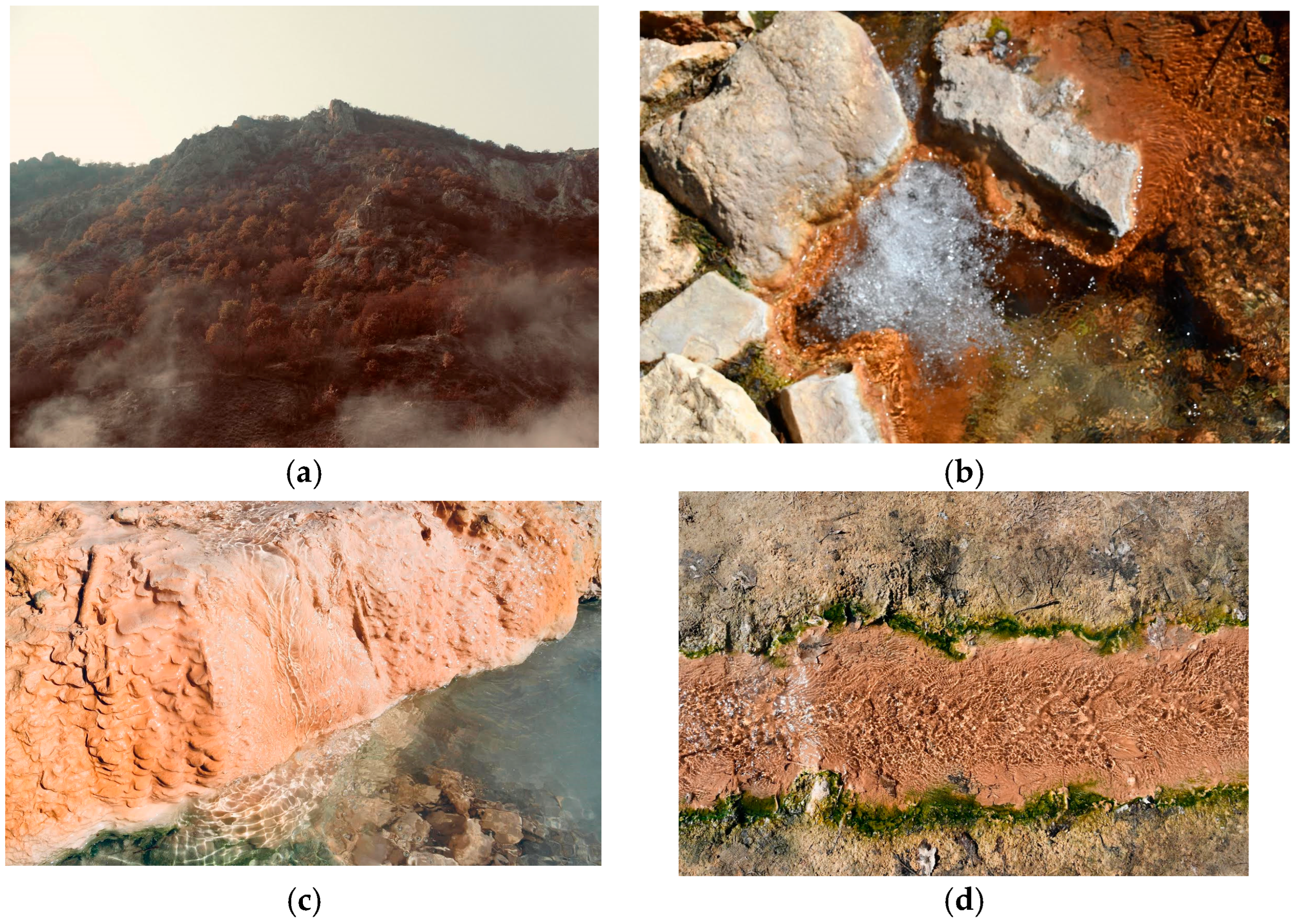 Hydrogen 06 00048 g003