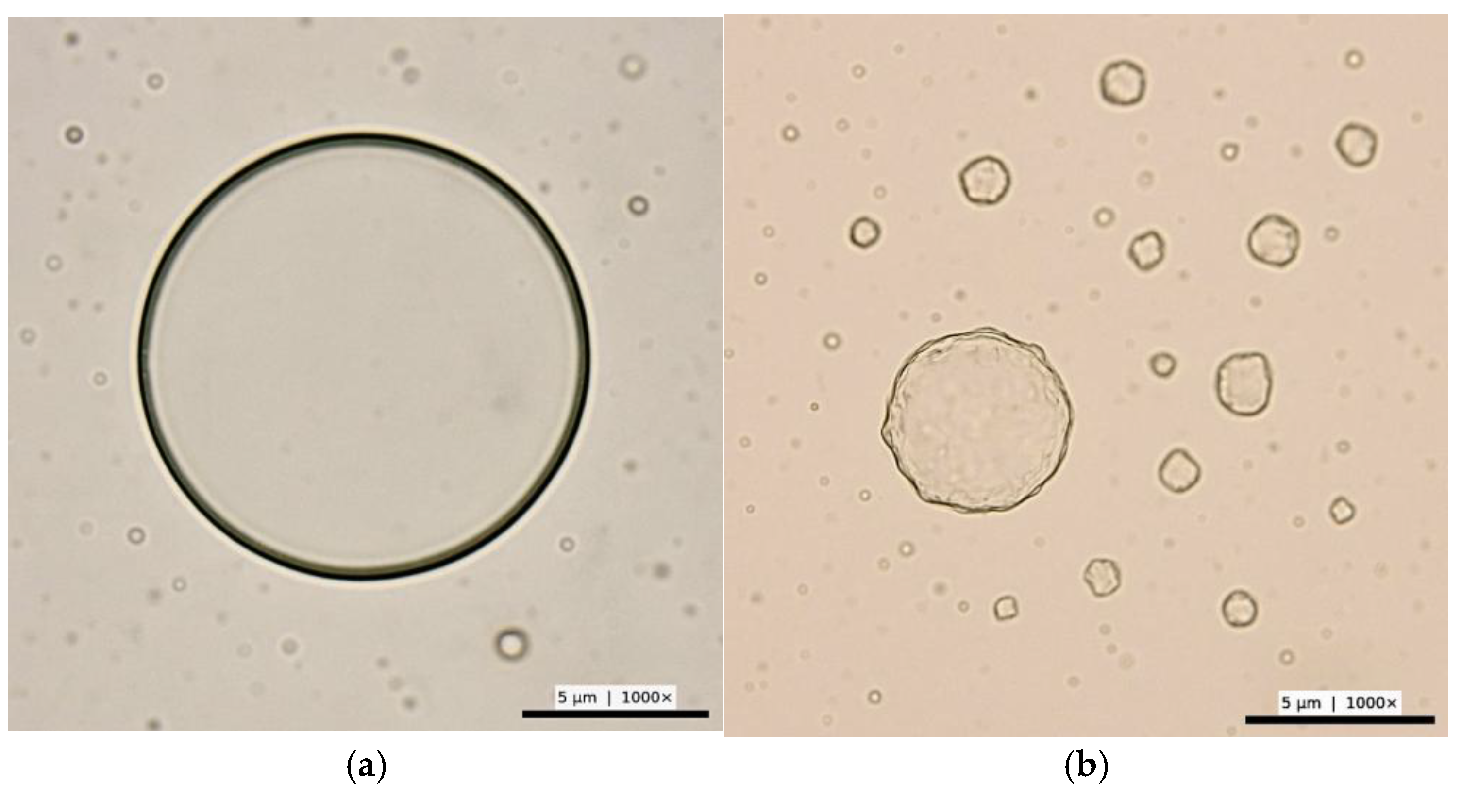 Hydrogen 06 00067 g001