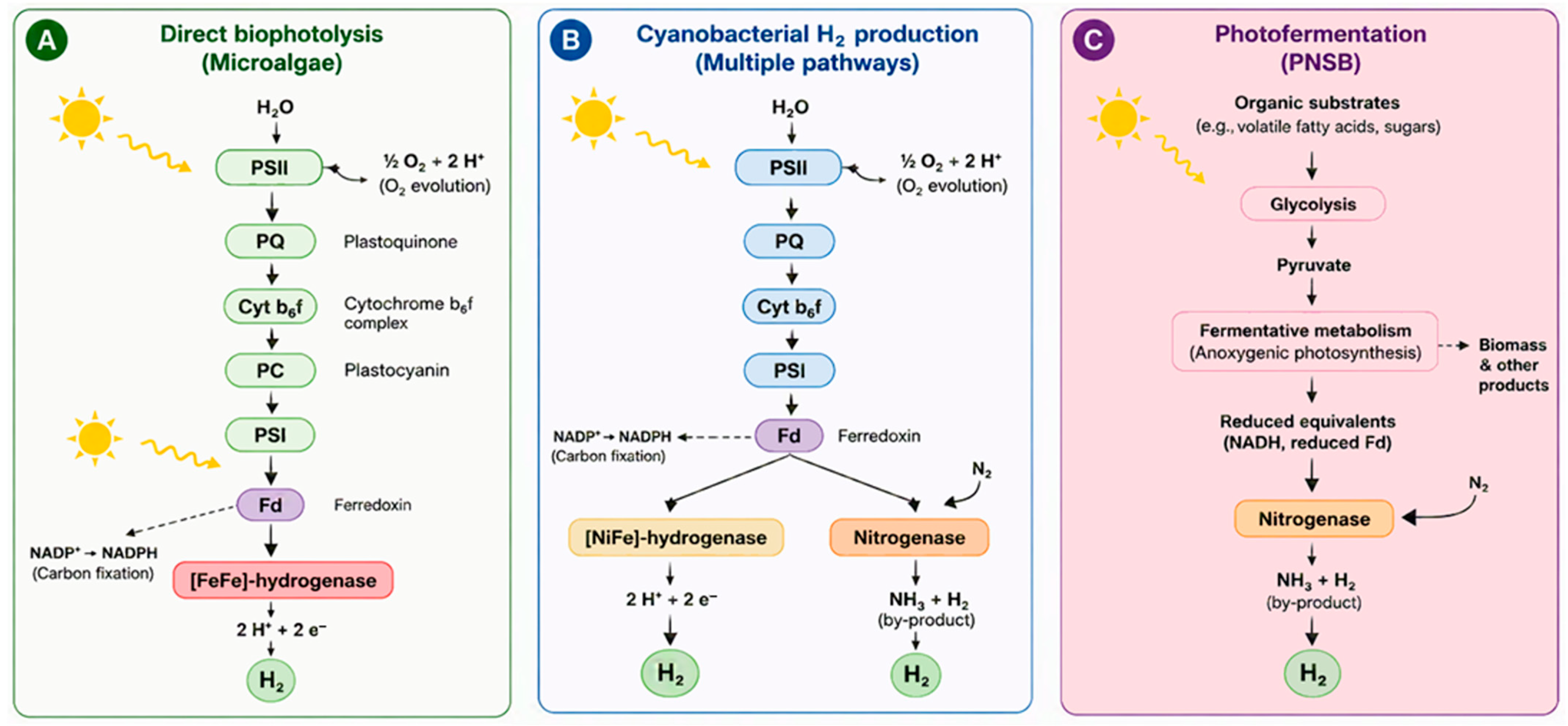 Hydrogen 07 00118 g002 Hydrogen 07 00118 g002
