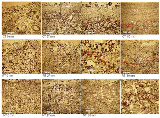 Influence of Crust Formation on Soil Porosity under Tillage