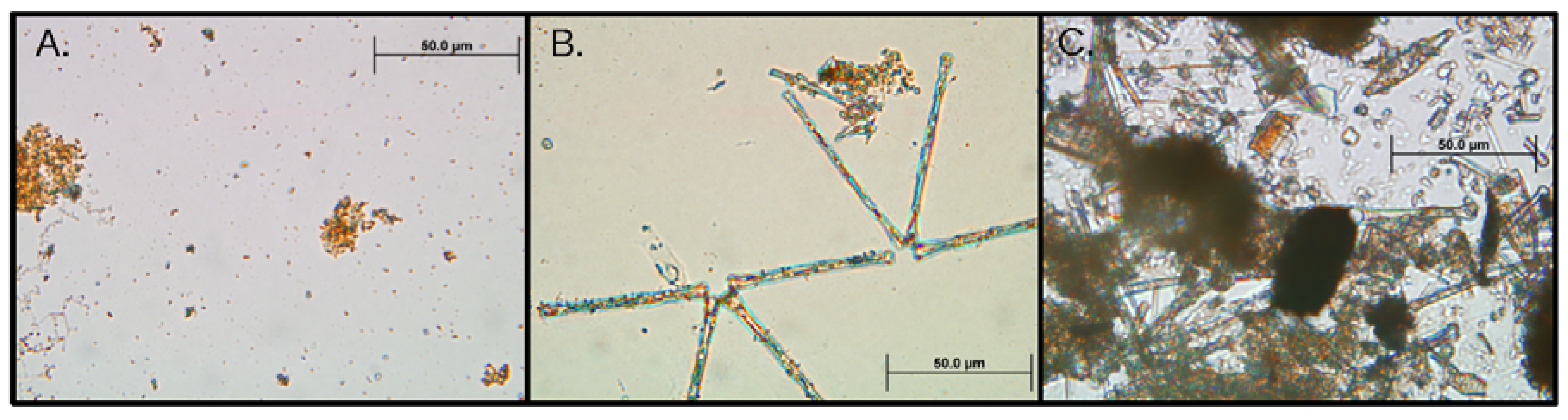 Hydrology 05 00035 g005