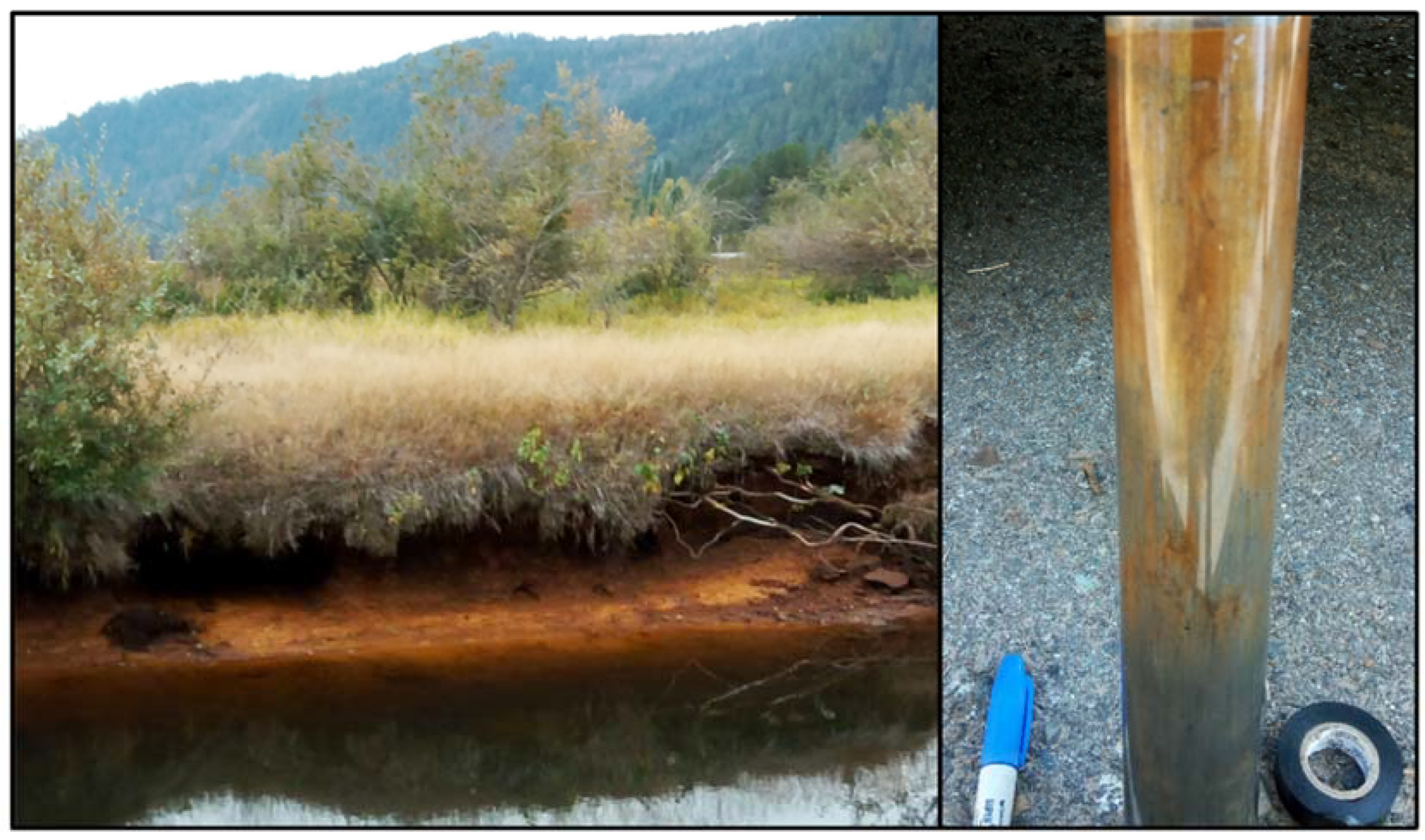 Hydrology 05 00035 g006