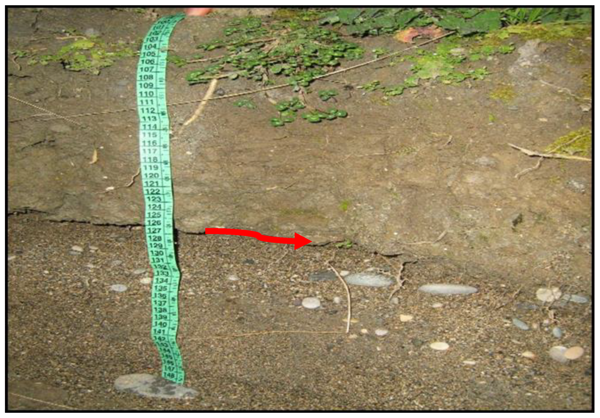 Hydrology 05 00059 g008