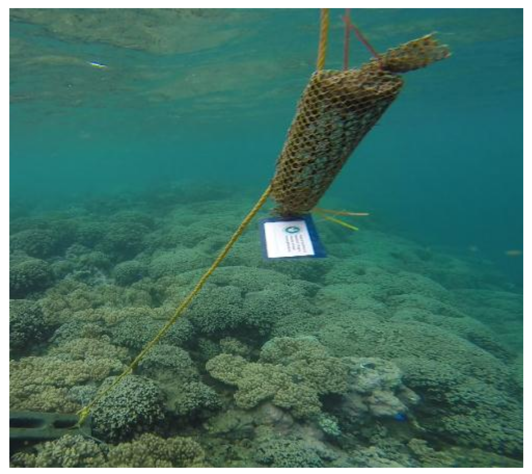 Hydrology 06 00018 g004 550