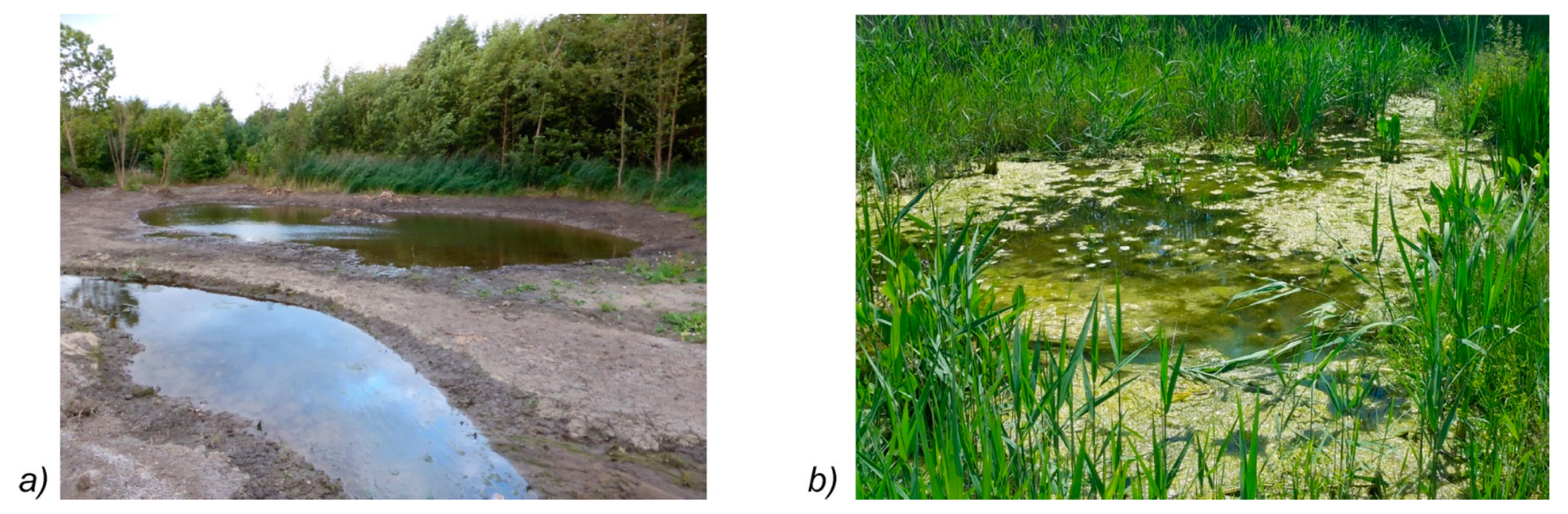 Hydrology 06 00029 g012 550