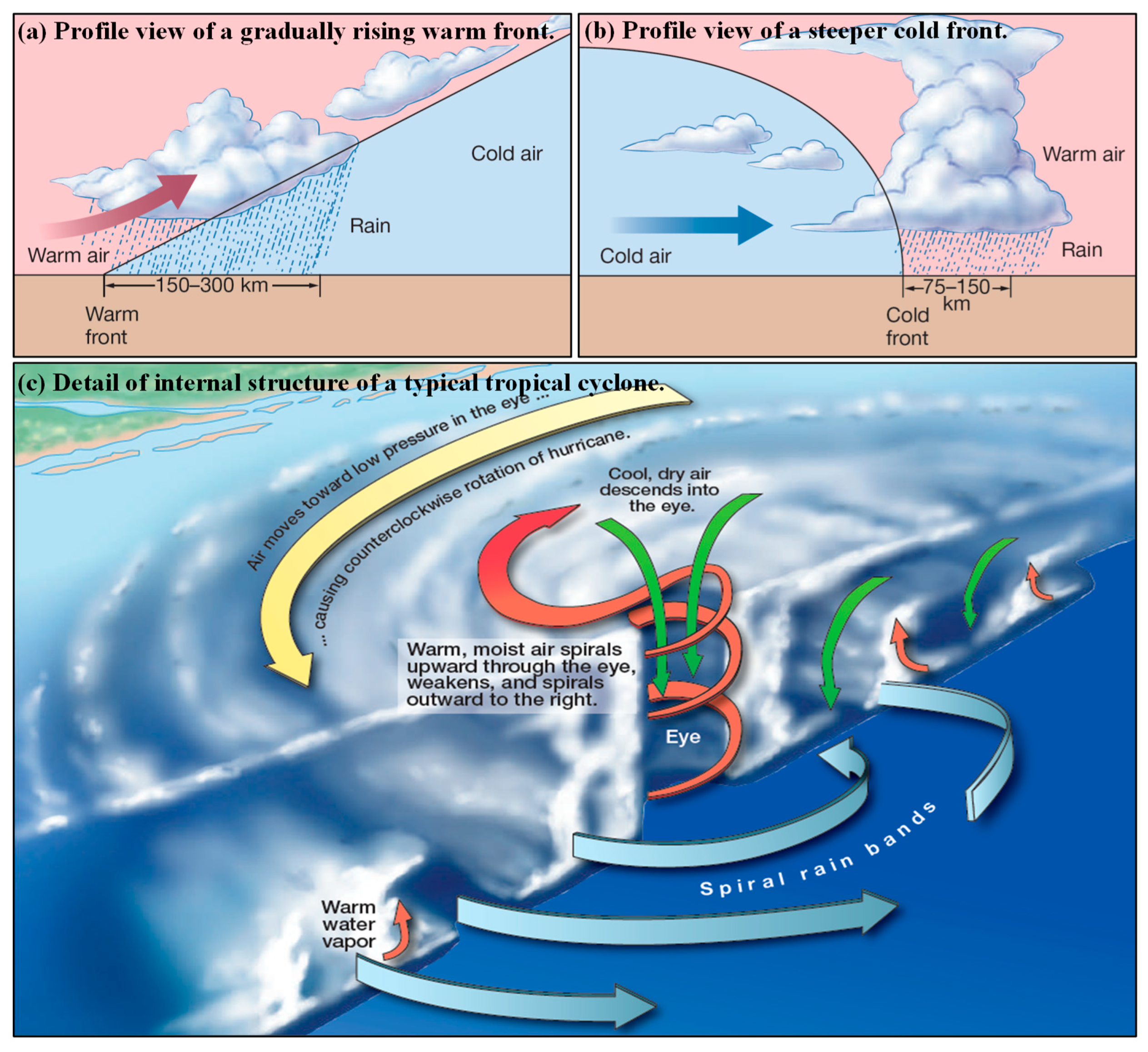 Теплый фронт циклона. Строение тропического циклона. Структура тропического циклона. Схема образования циклона. Формирование тропических циклонов.