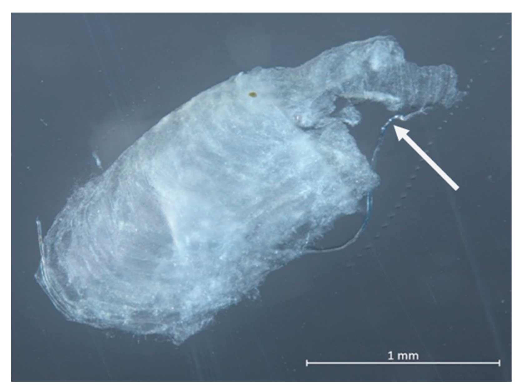 Hydrology 07 00090 g006 Hydrology 07 00090 g006
