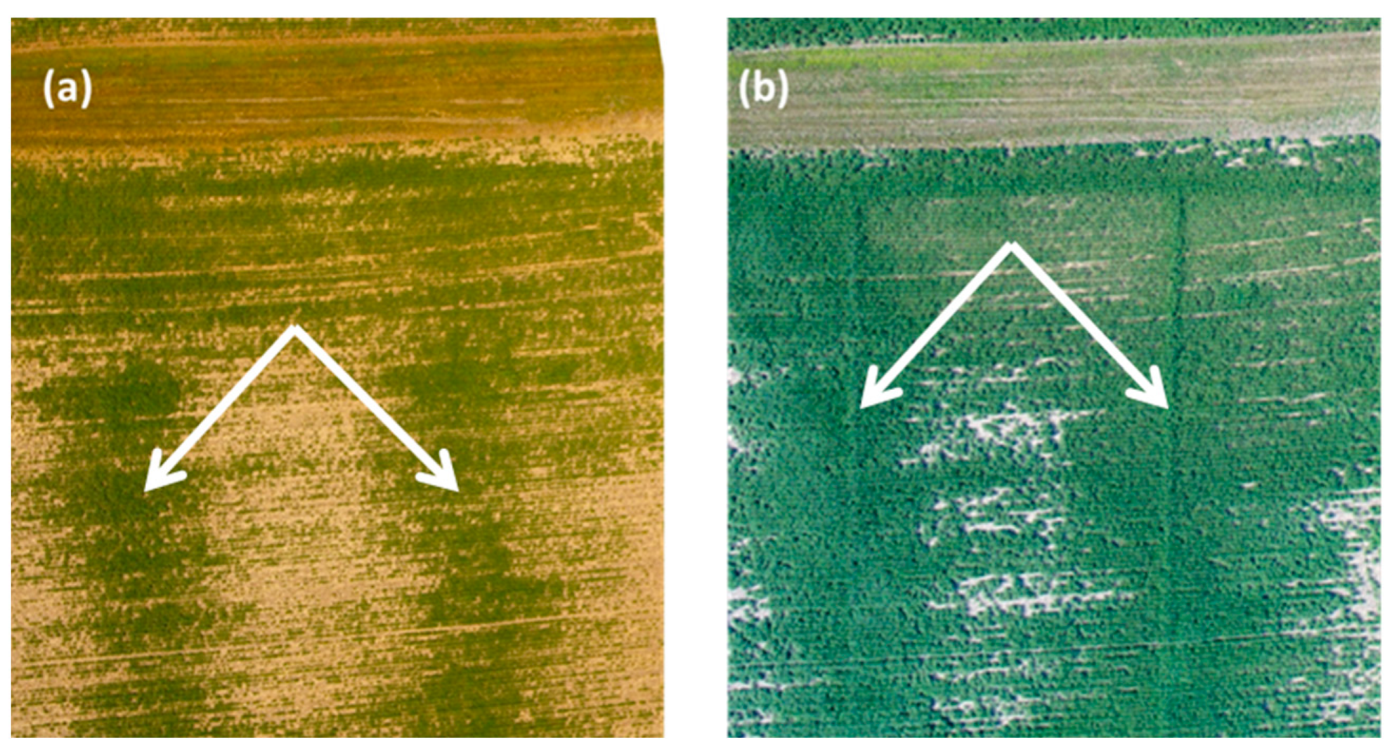 Hydrology 08 00002 g009