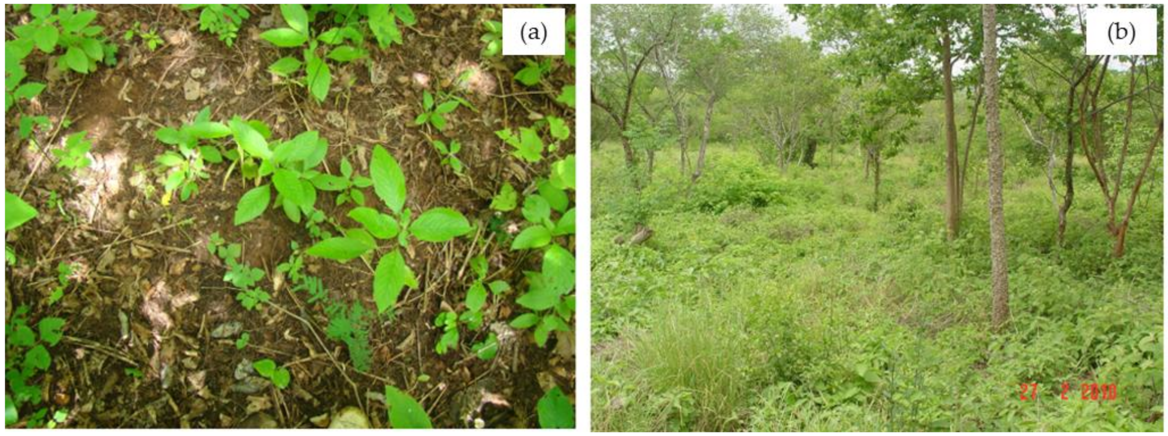 Hydrology 08 00046 g003