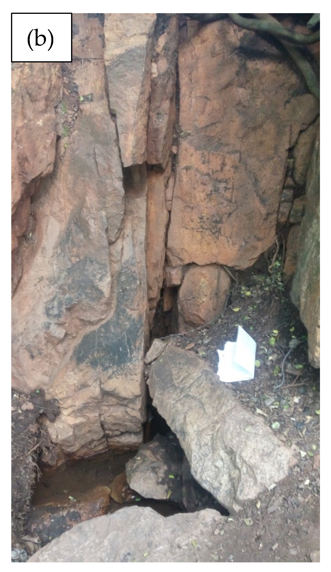 Hydrology 08 00050 g002b