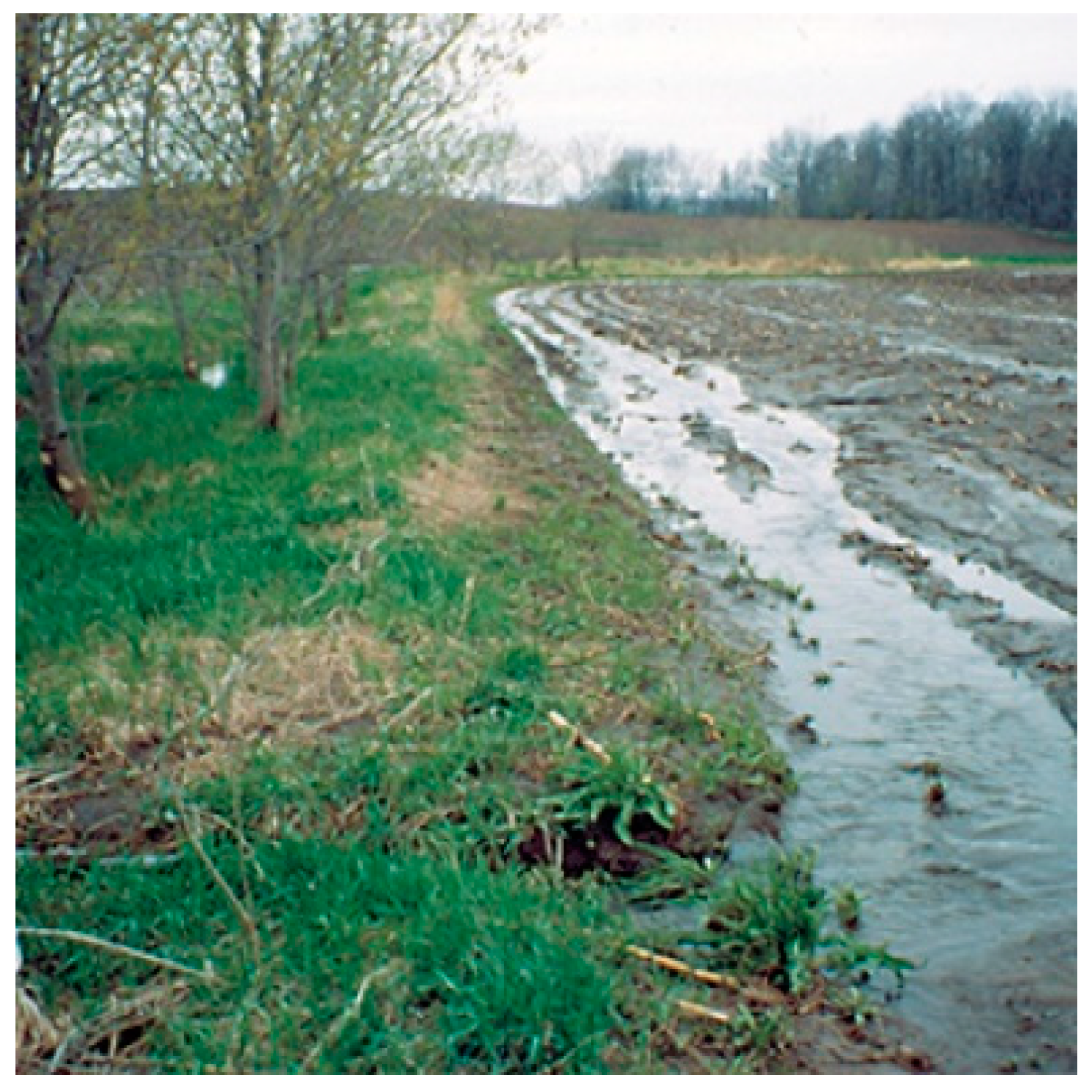 Hydrology 08 00066 g005