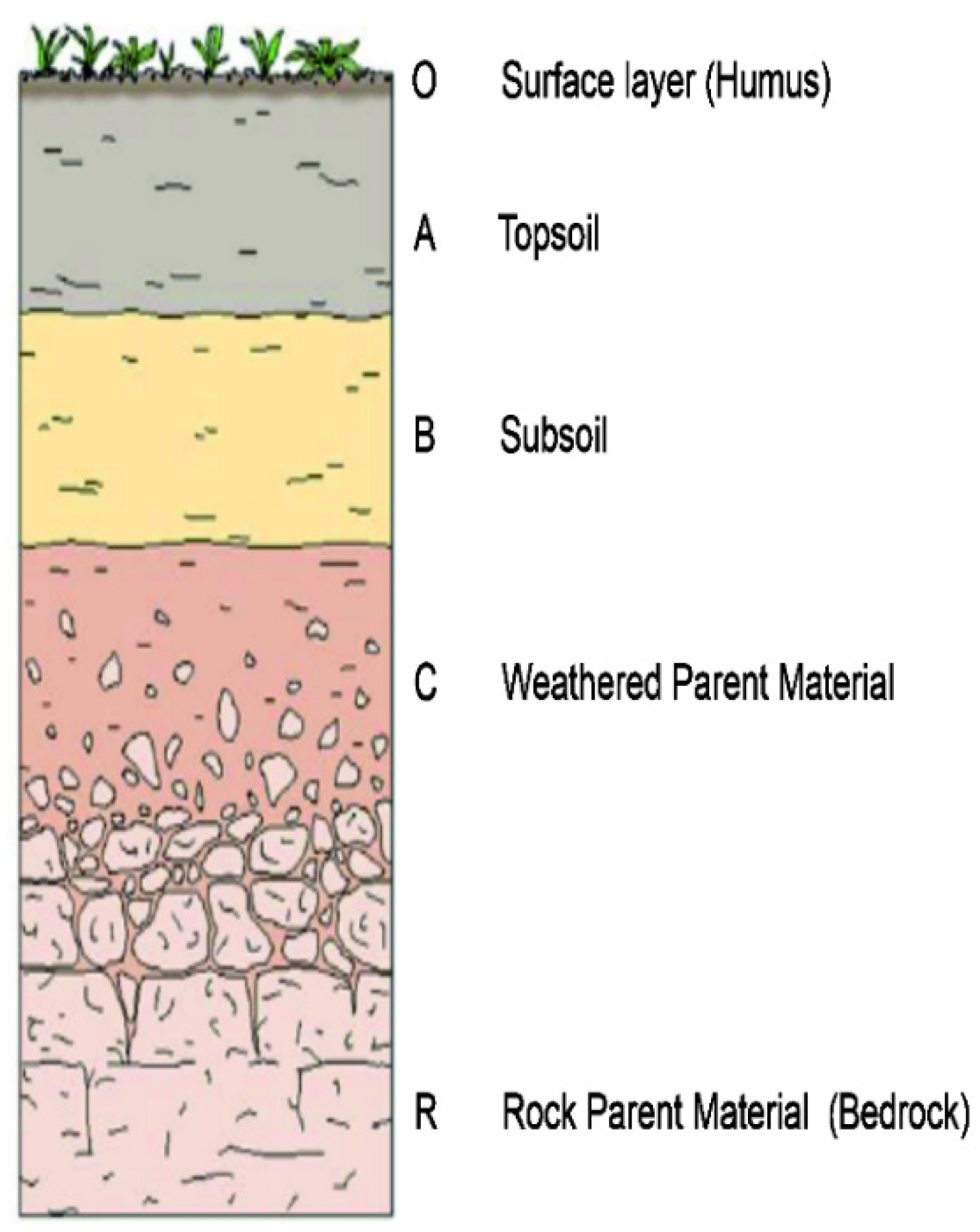 Hydrology 08 00083 g006