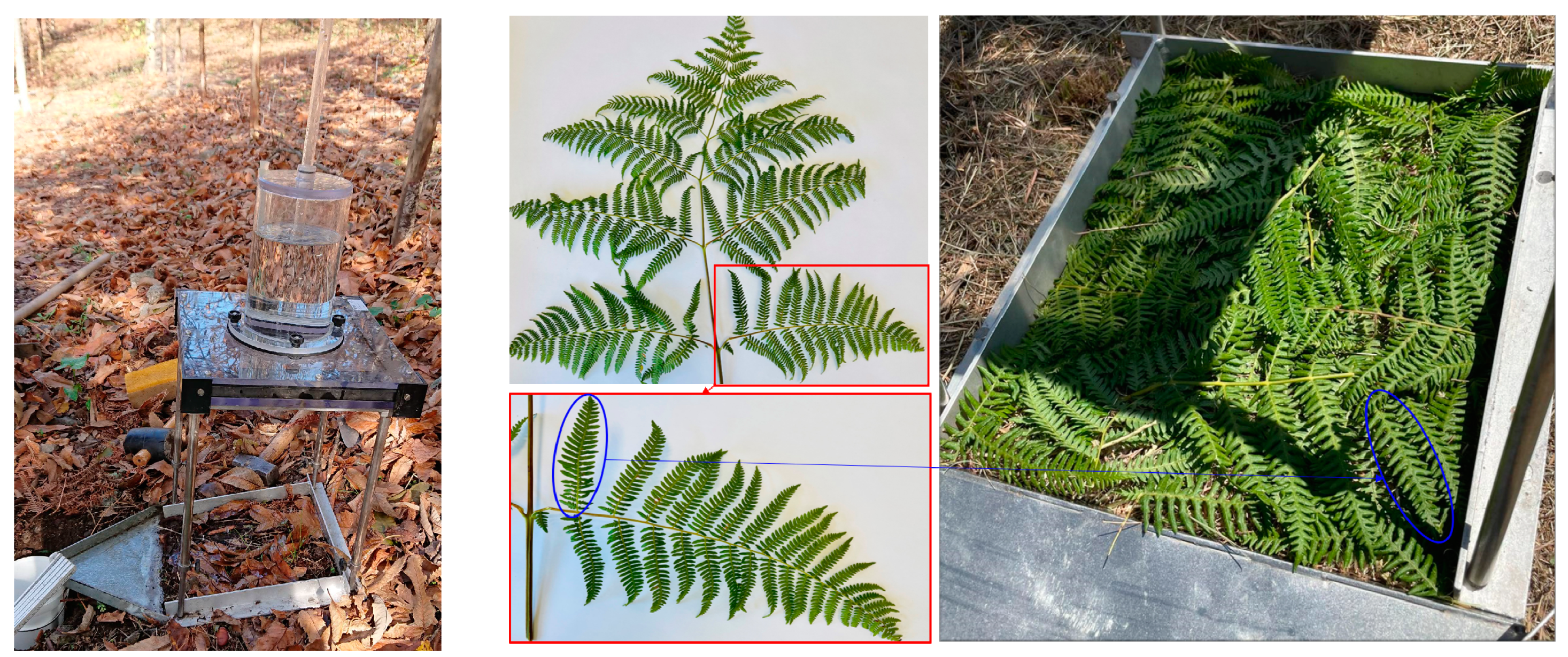 Hydrology 08 00095 g0a3 550