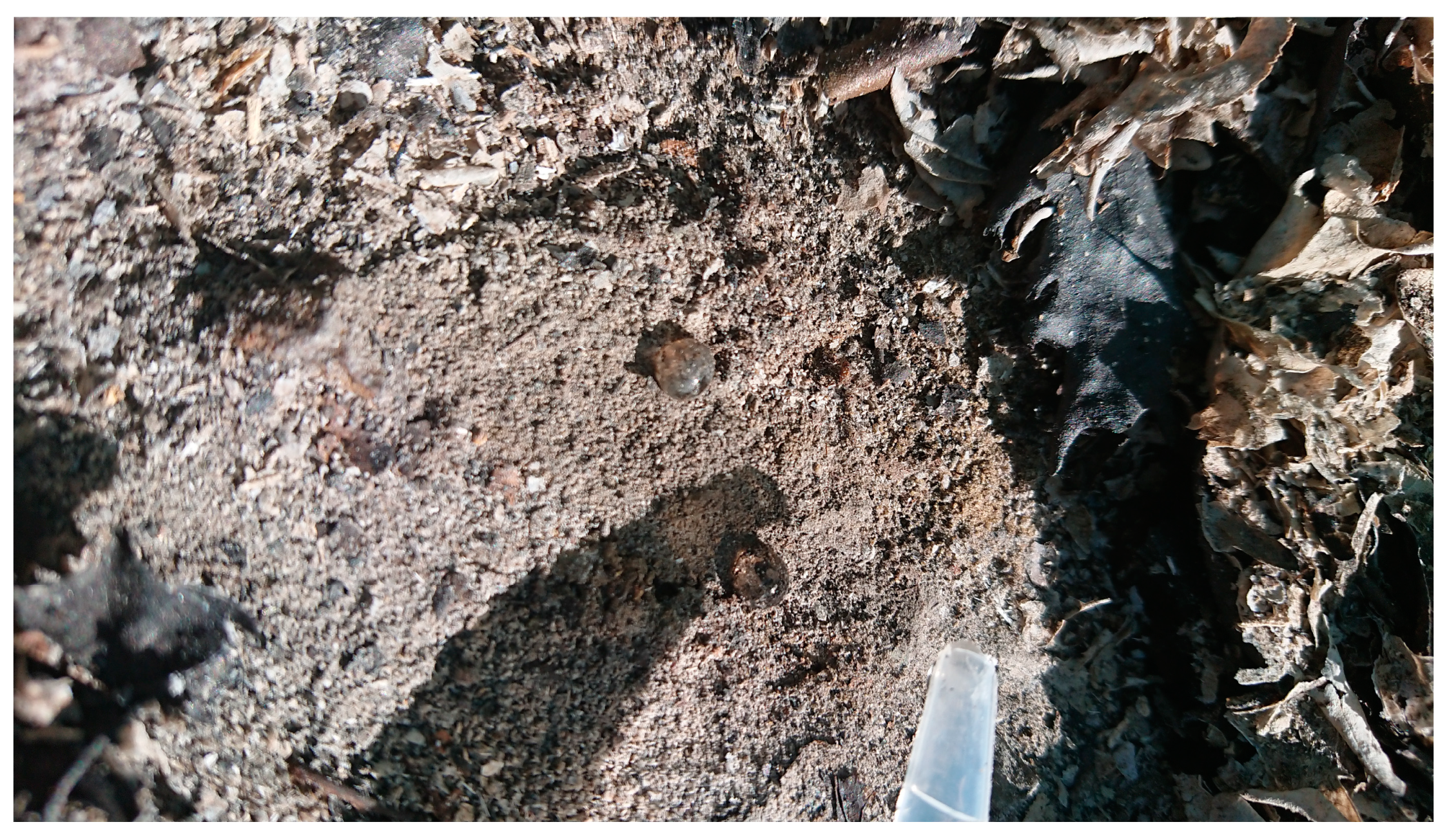 Hydrology 08 00095 g0a4 550