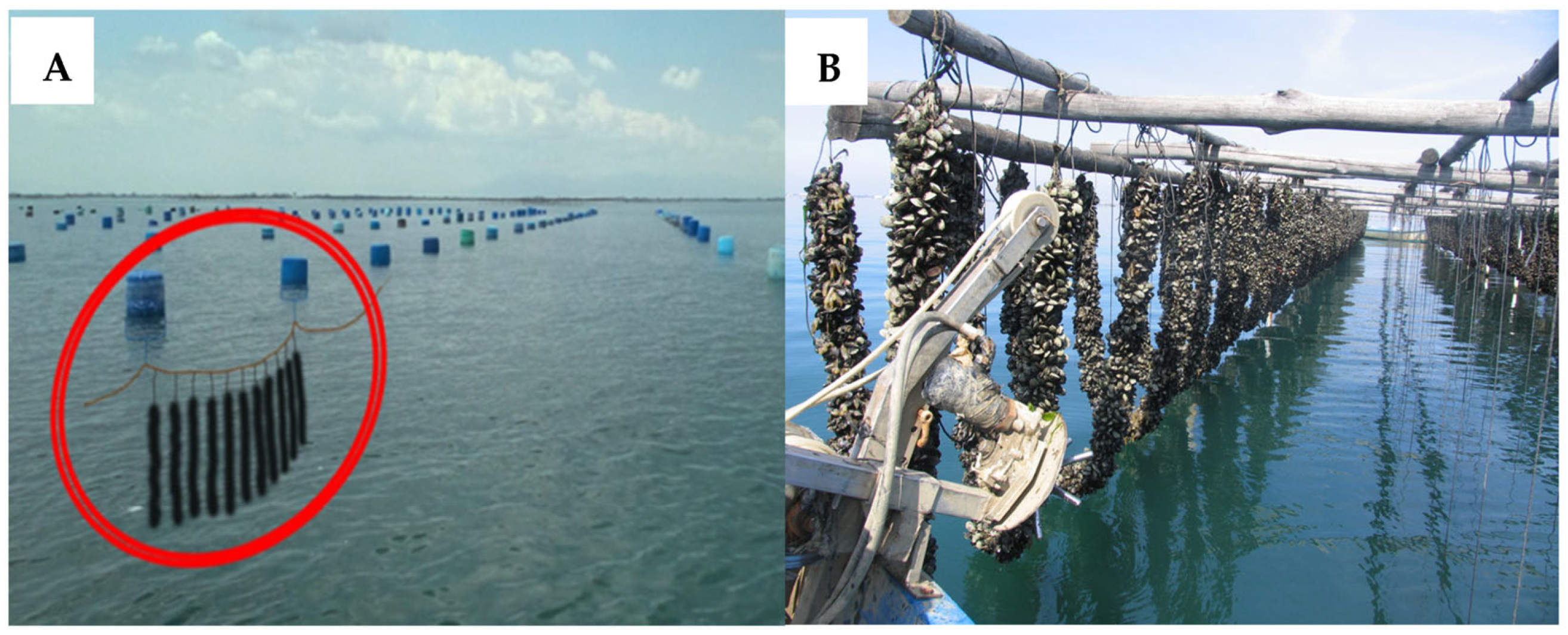 Hydrology 08 00105 g001 550