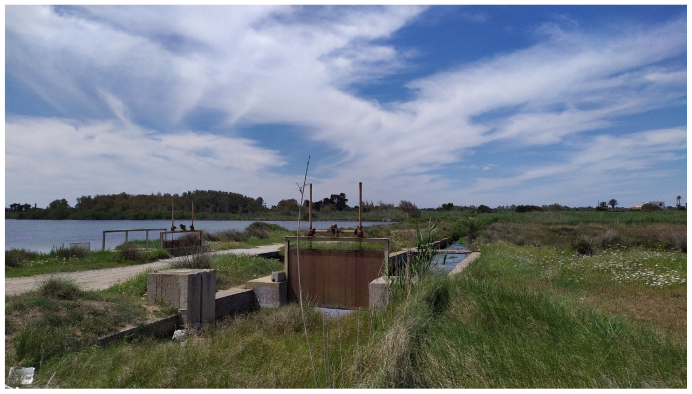 Hydrology 08 00111 g004